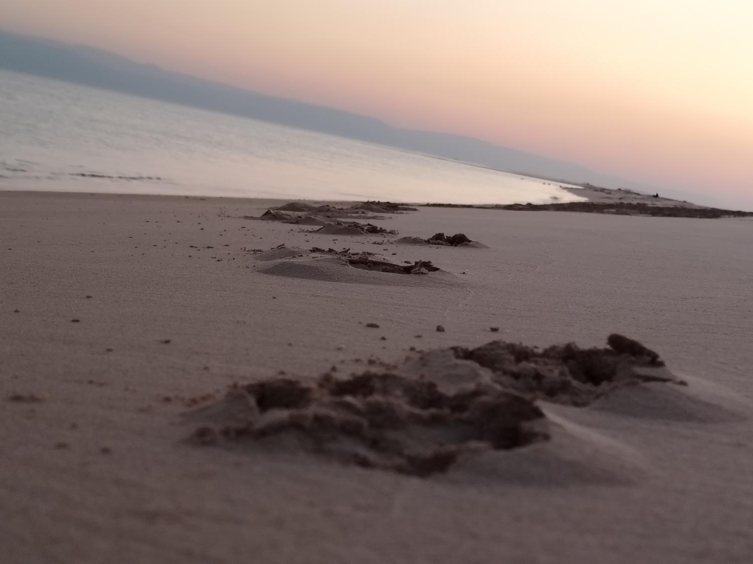 Diamond resort, Ras Sidr view 2