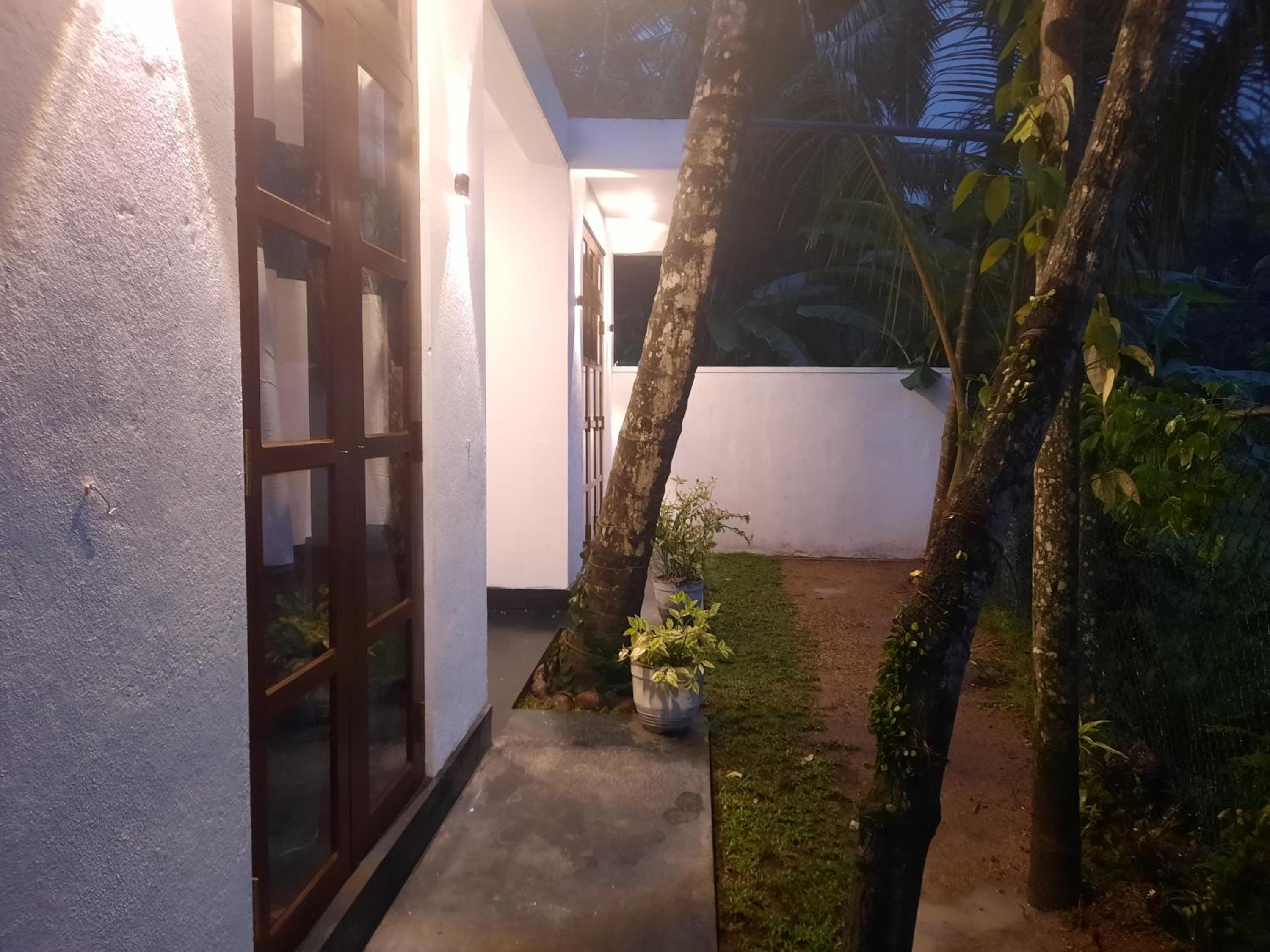 Paddy House view 2