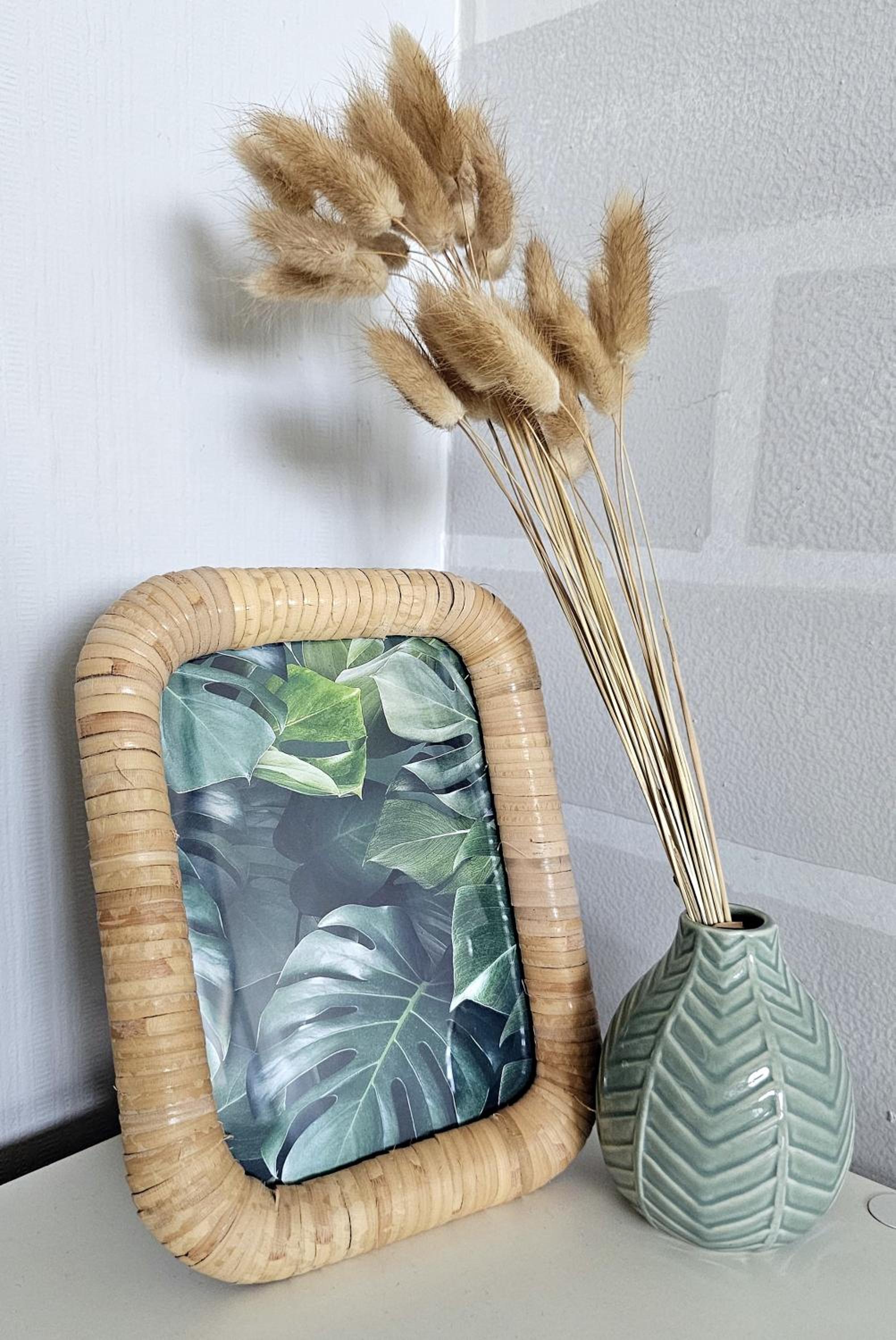 Cozy Boho small apartment