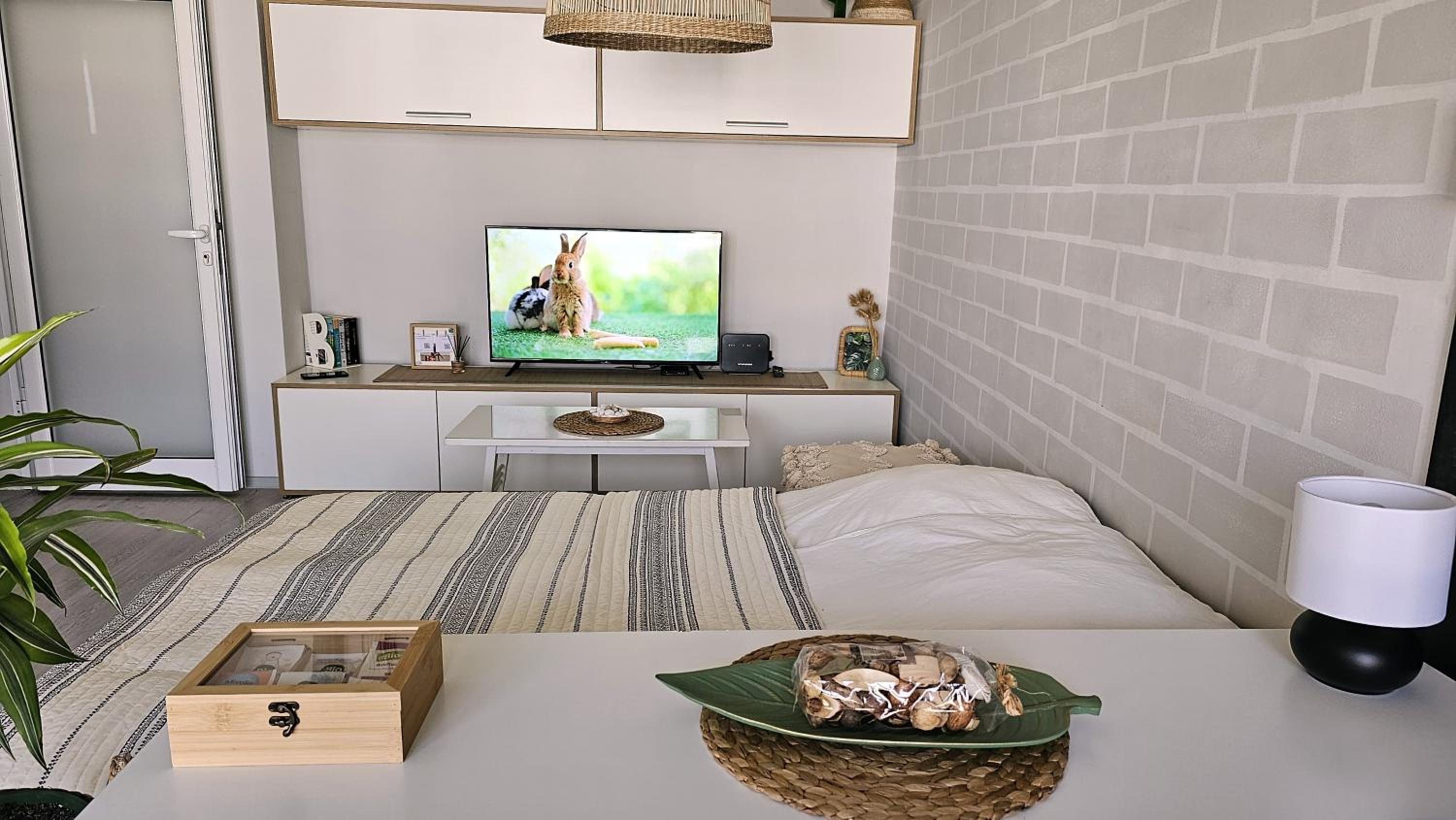 Cozy Boho small apartment