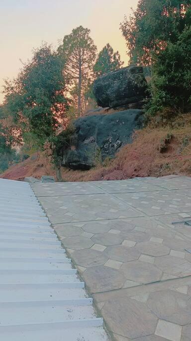 Cabin in Woods view 5