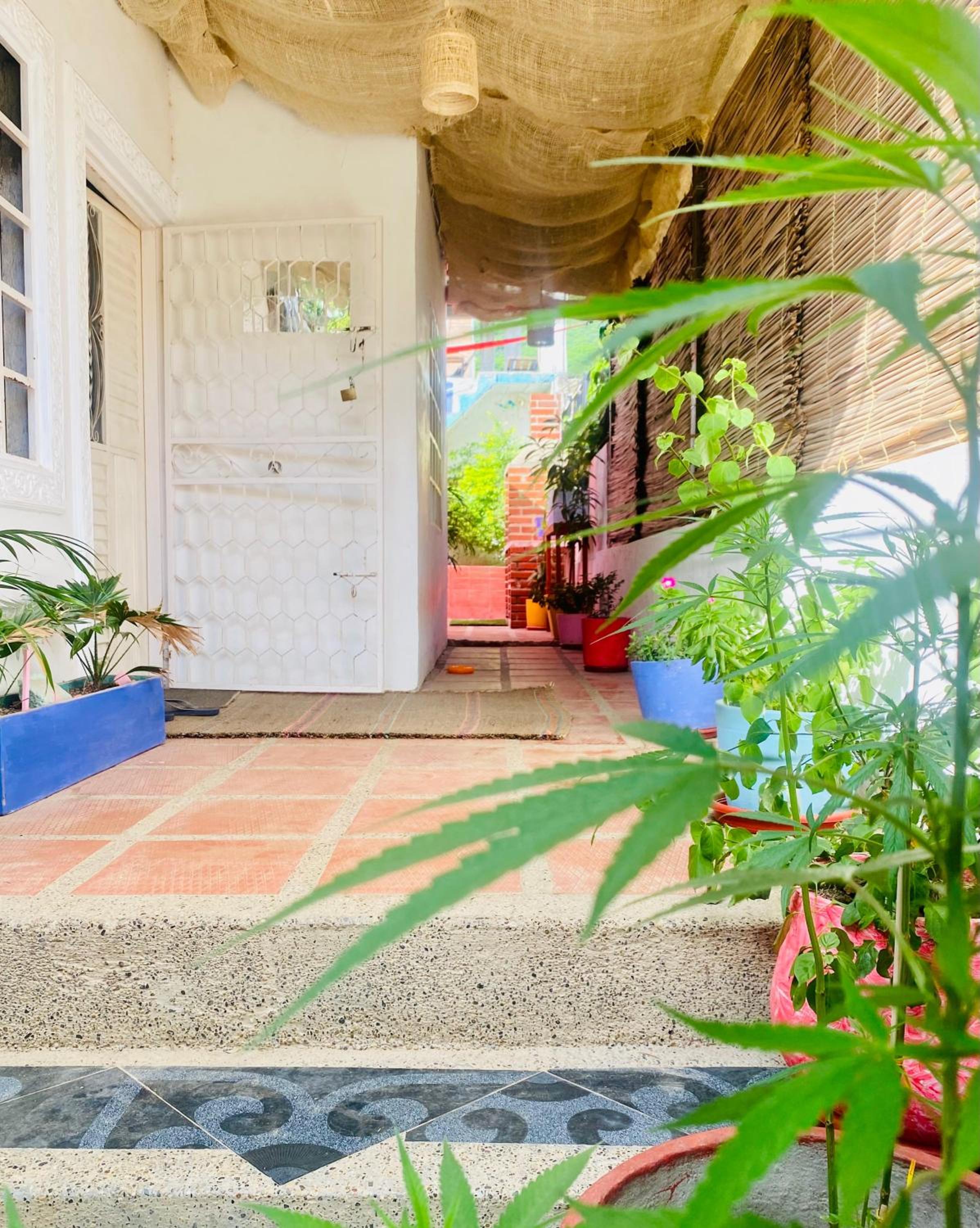Casa Tanga