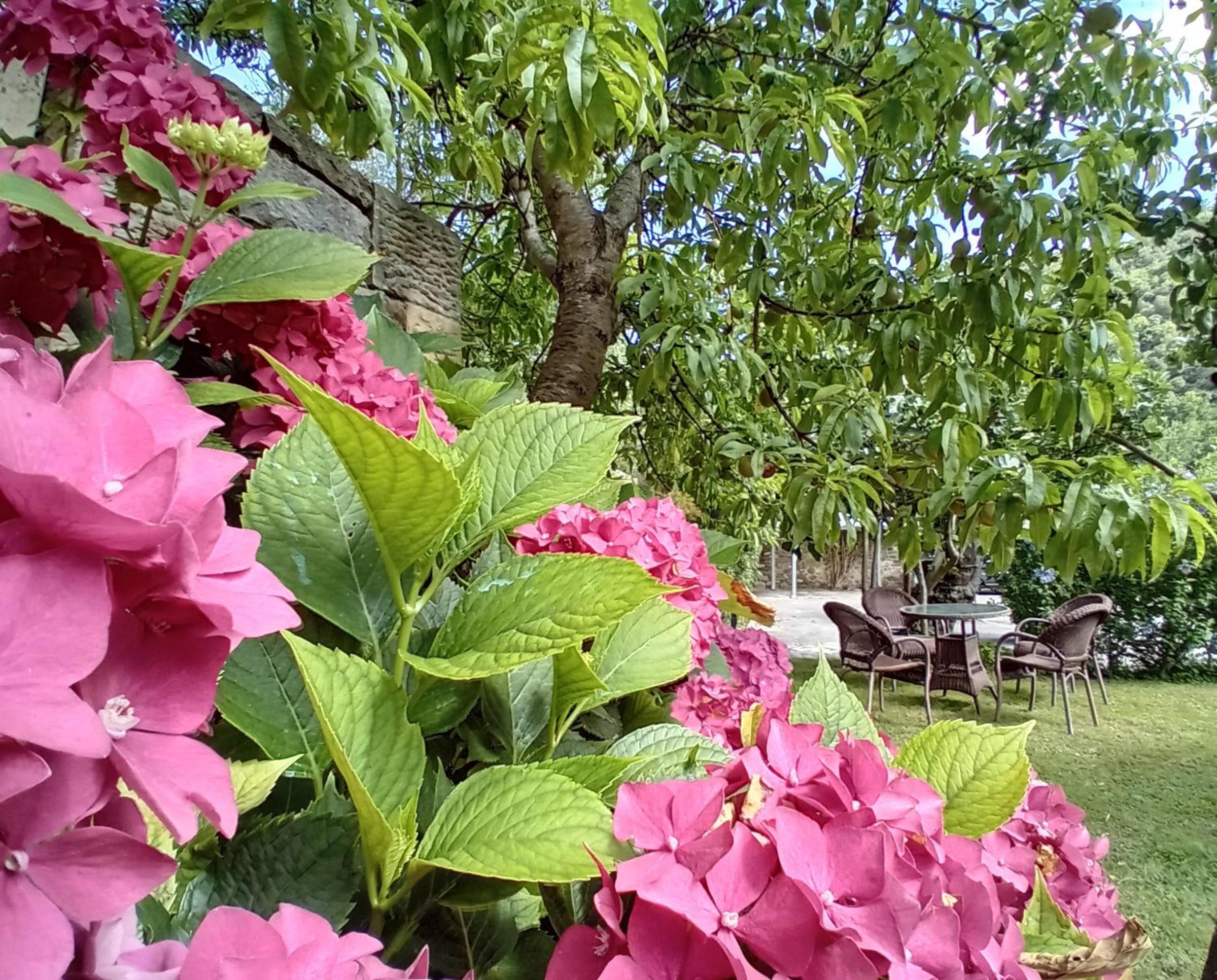Picos de Europa Suites and Rooms