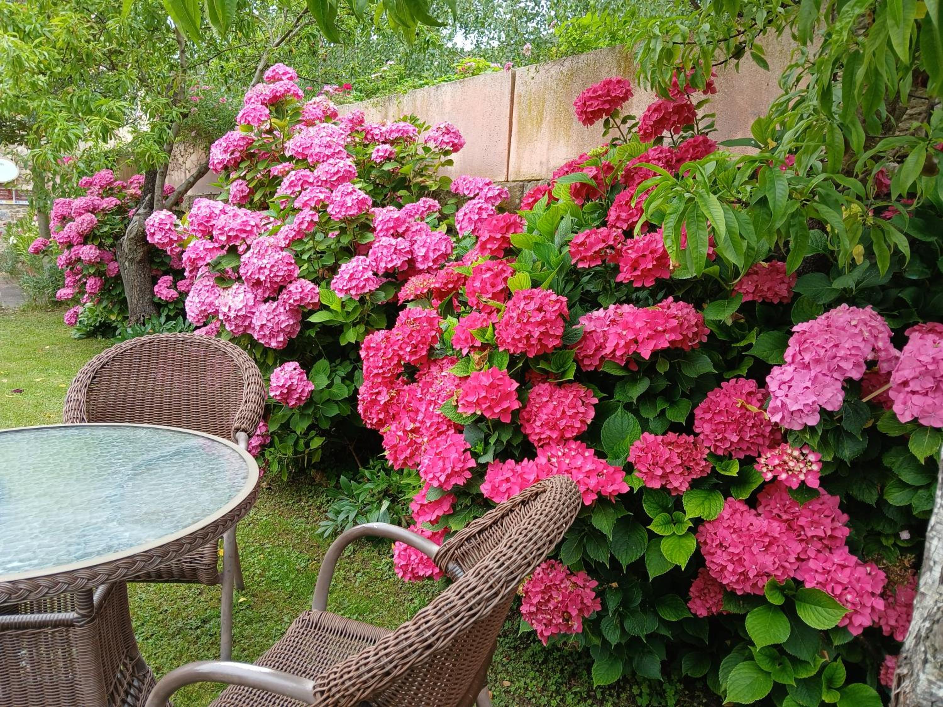 Picos de Europa Suites and Rooms