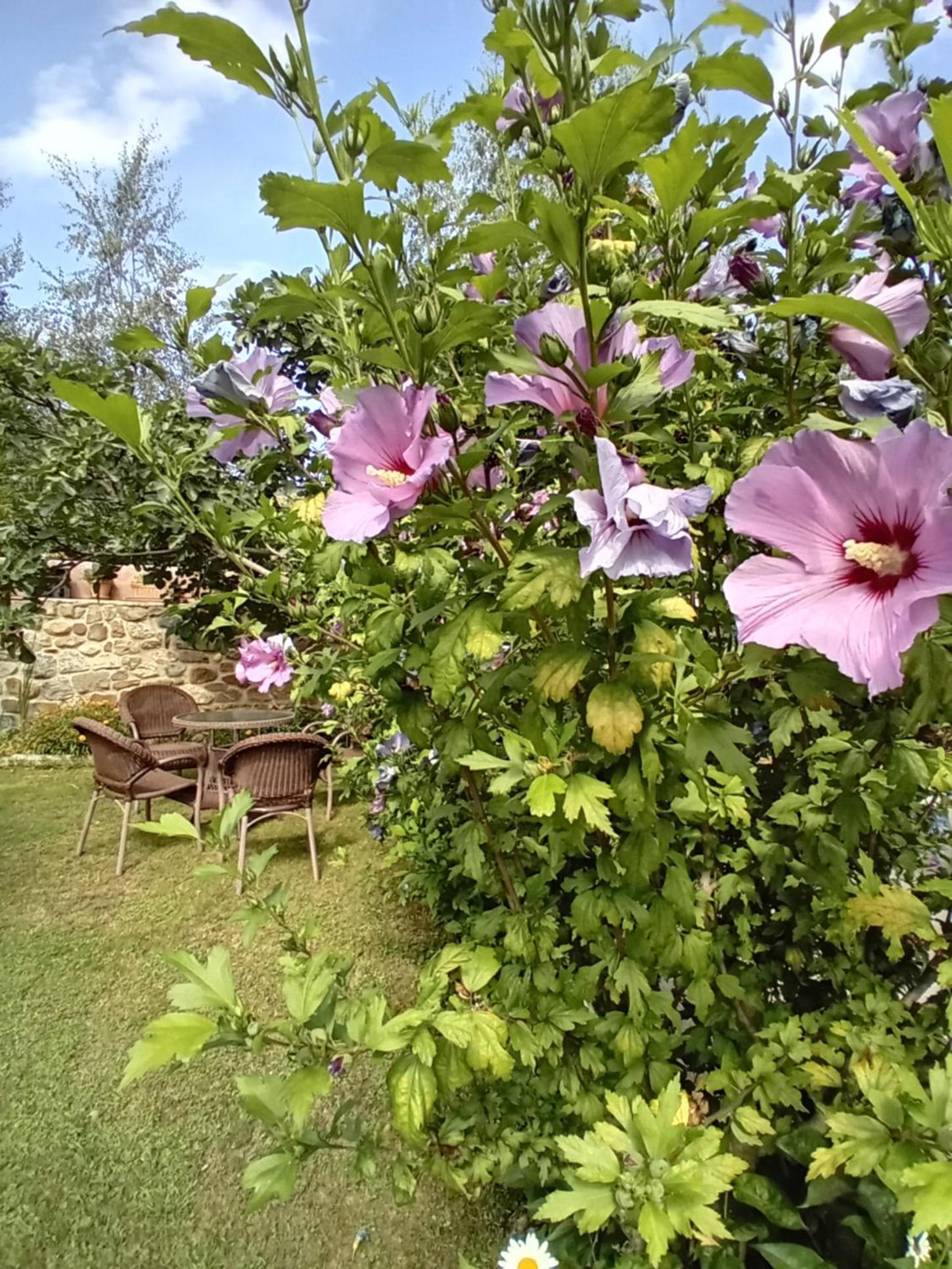 Picos de Europa Suites and Rooms