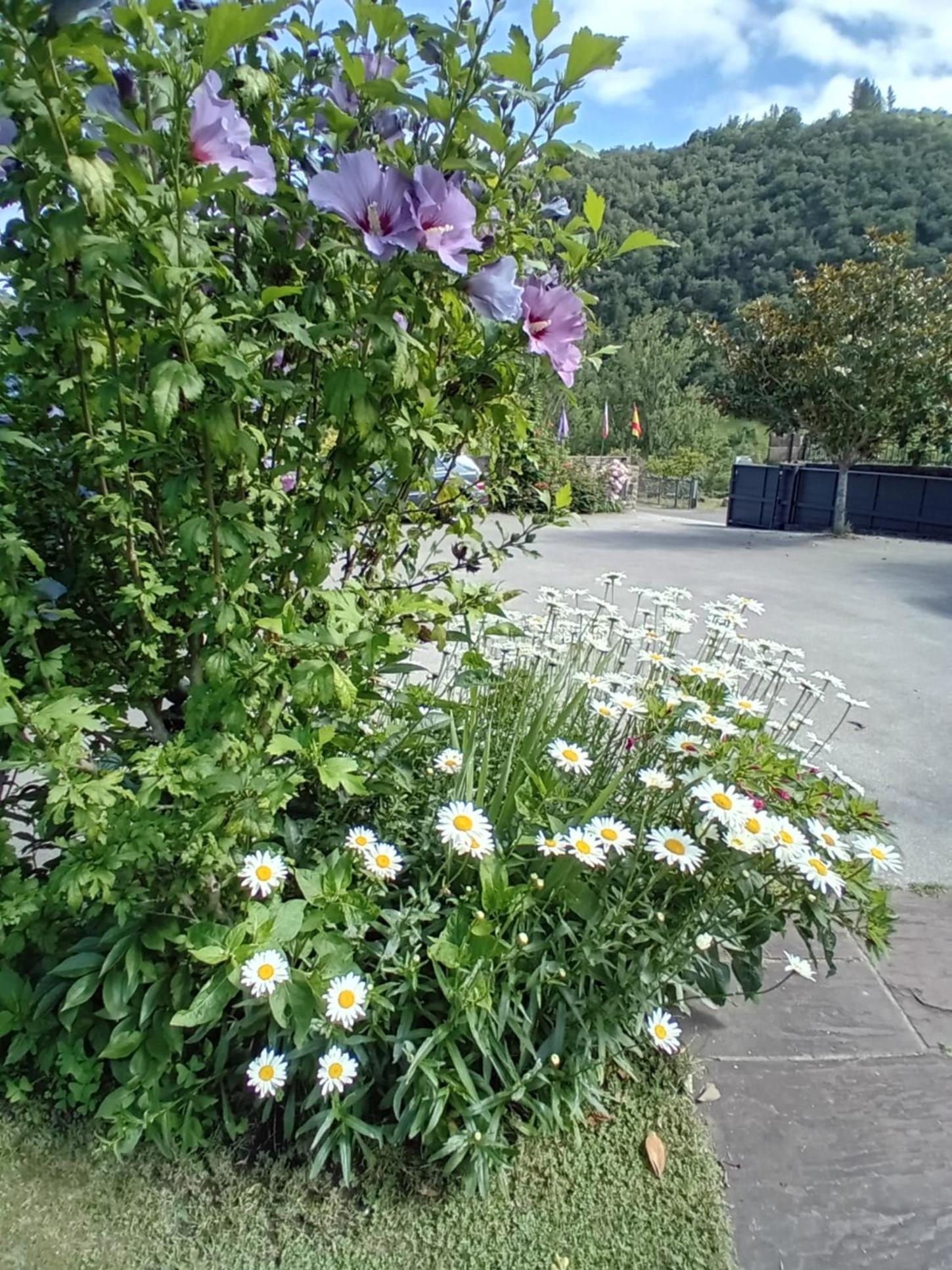 Picos de Europa Suites and Rooms