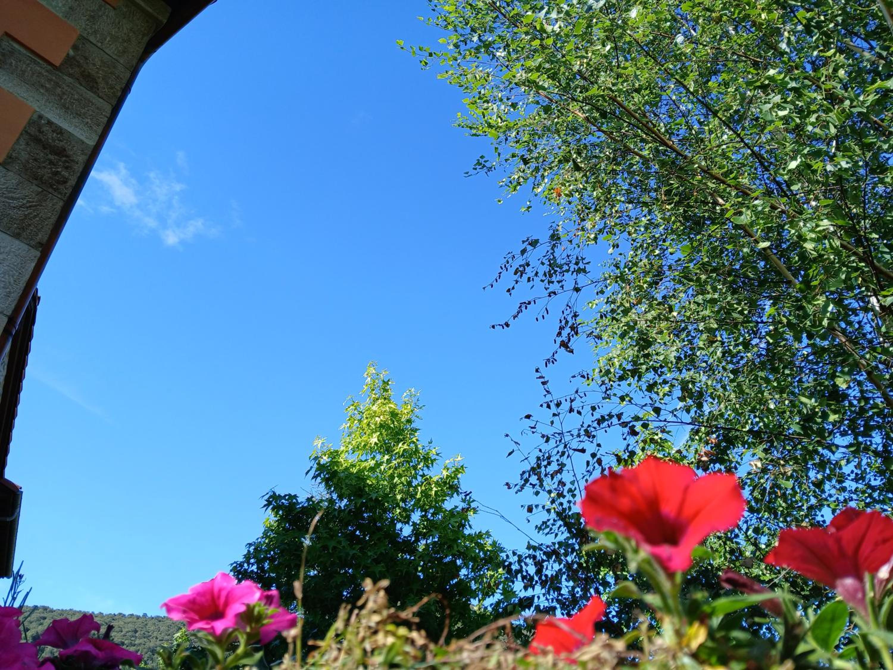 Picos de Europa Suites and Rooms