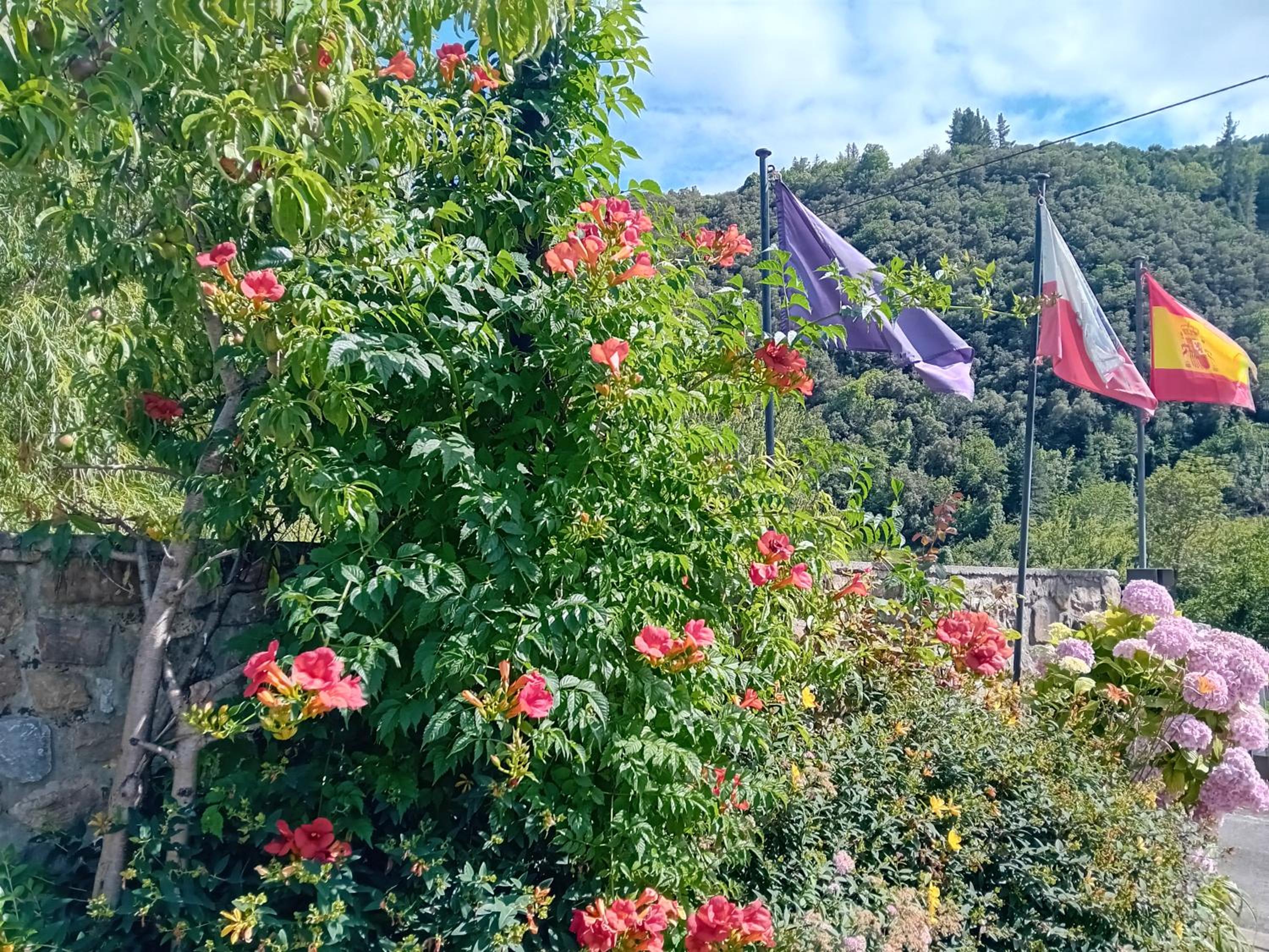Picos de Europa Suites and Rooms