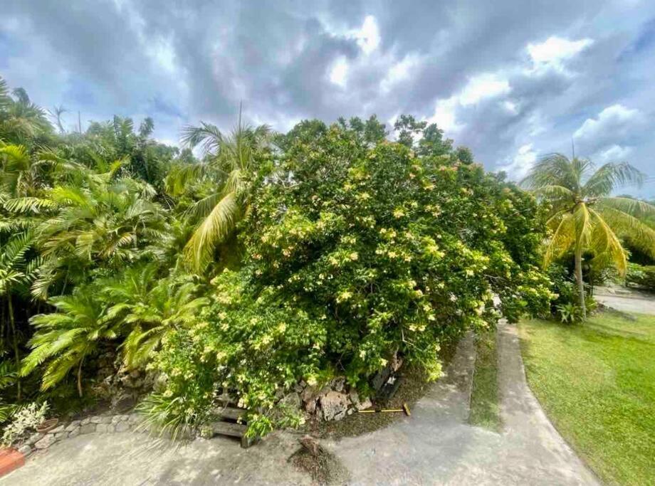 Large 2 Bed Apartment Excellent Location Private