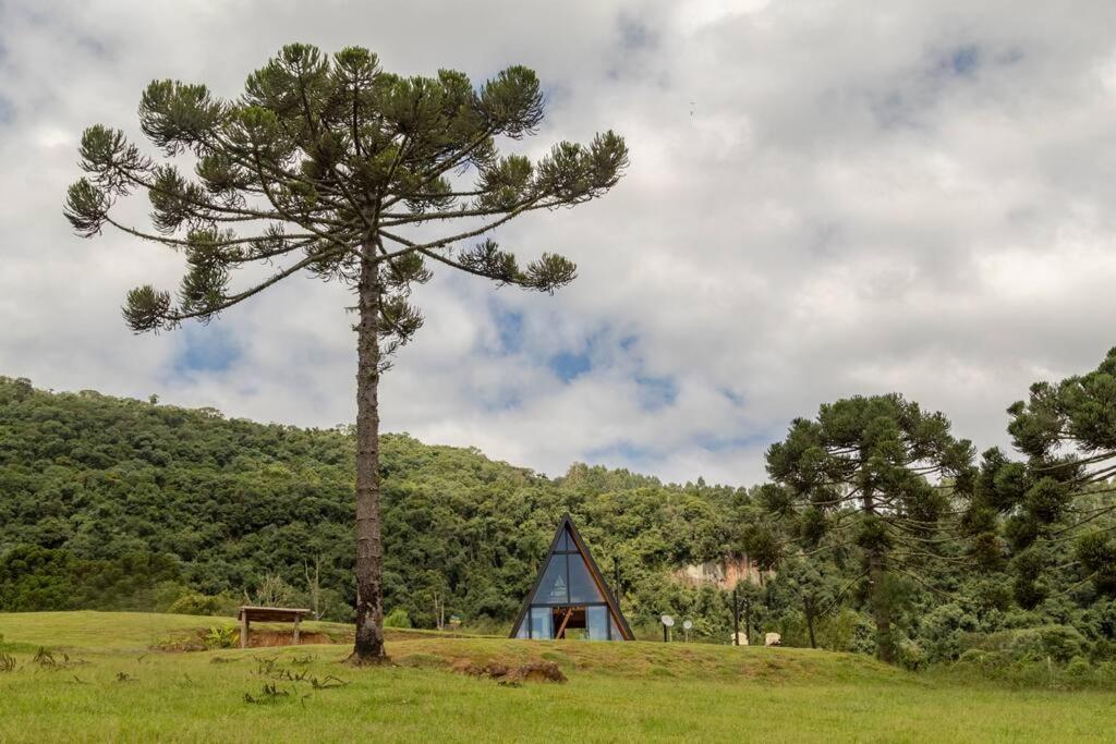 Refúgio da Neve! Cabana Araucária!