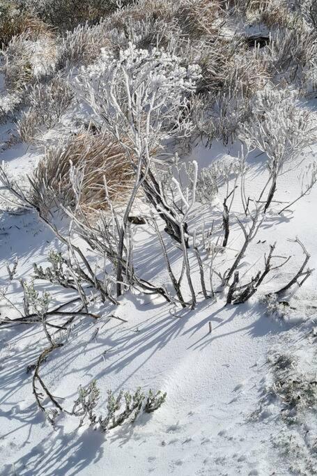 Refúgio da Neve! Cabana Araucária!