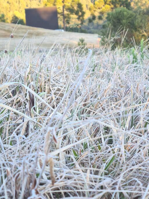 Refúgio da Neve! Cabana Araucária!