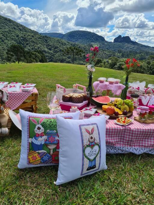 Refúgio da Neve! Cabana Araucária!
