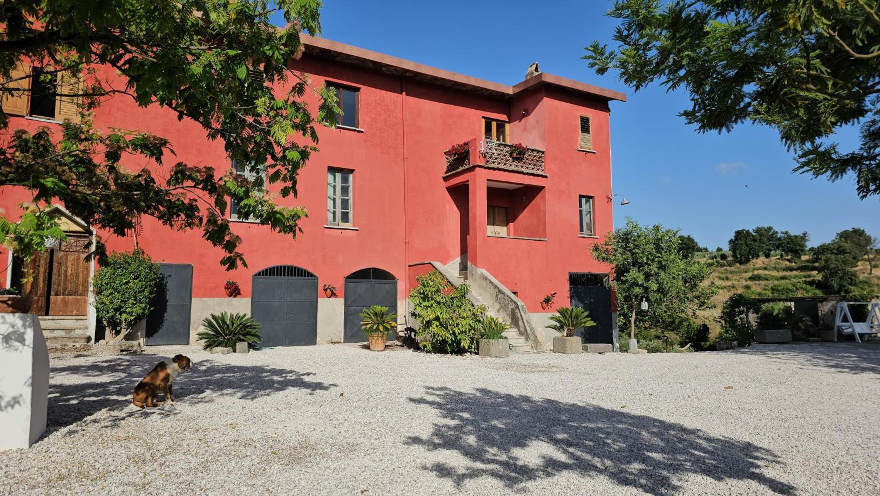 Tenuta degli Ulivi - Dimora Contadina view 3