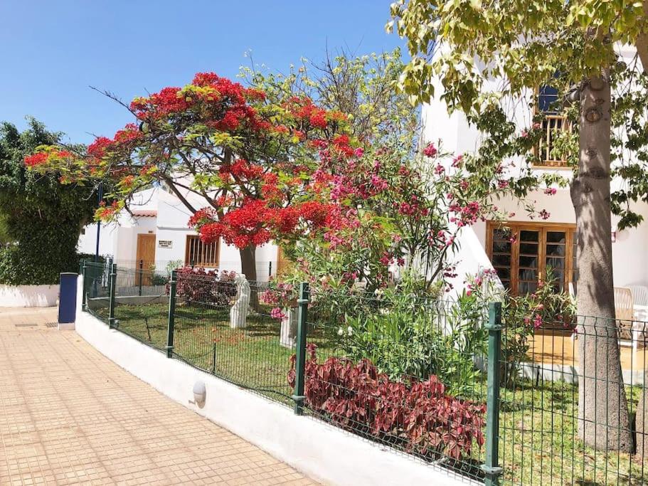 Apartamento con Vistamar y piscina climatizada en Garden City