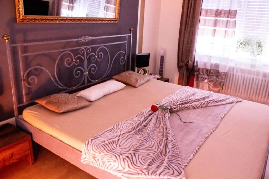 Wunderschöne Studio-Wohnung in Winterthur