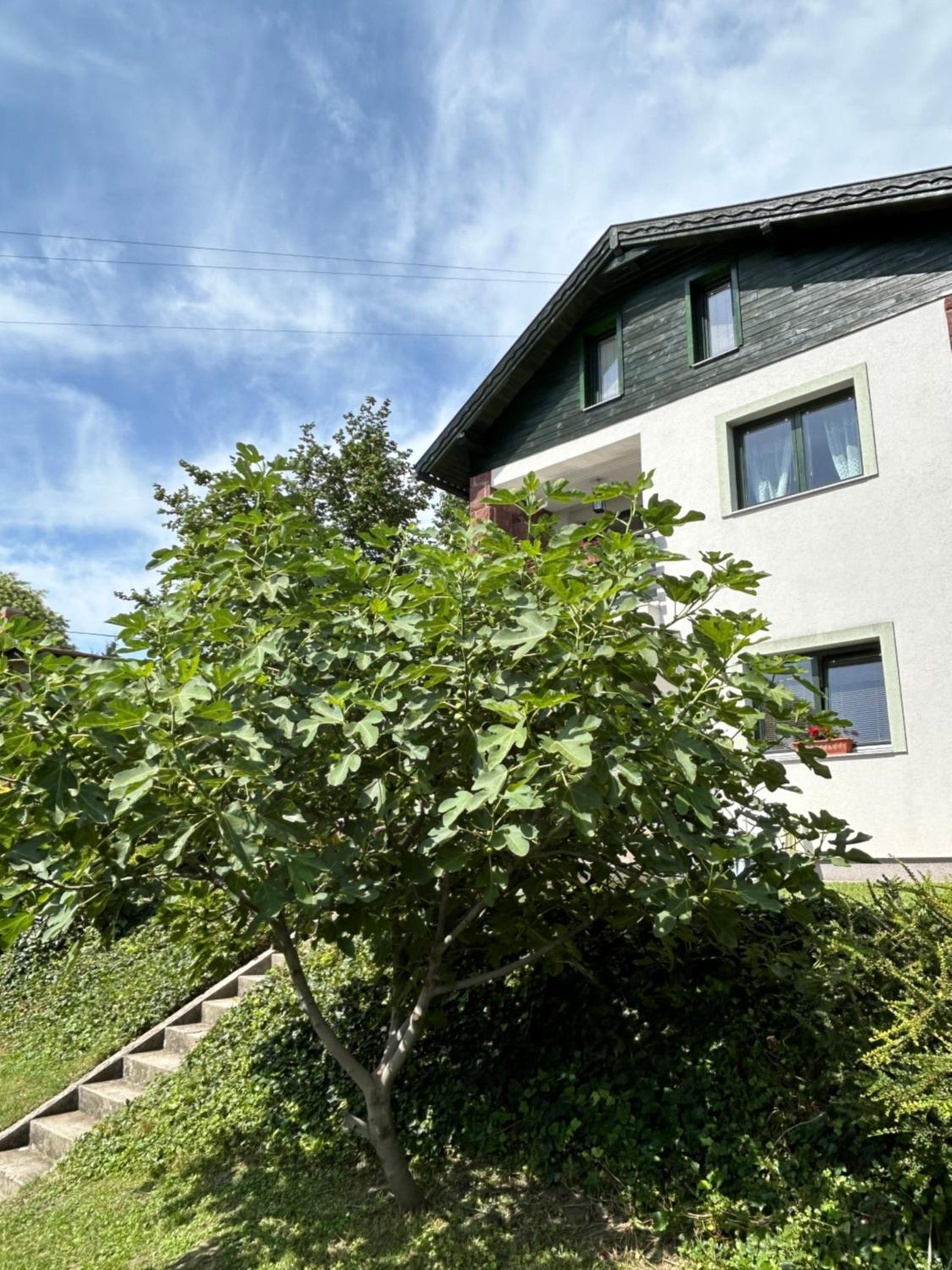 Villa ZöldFüge