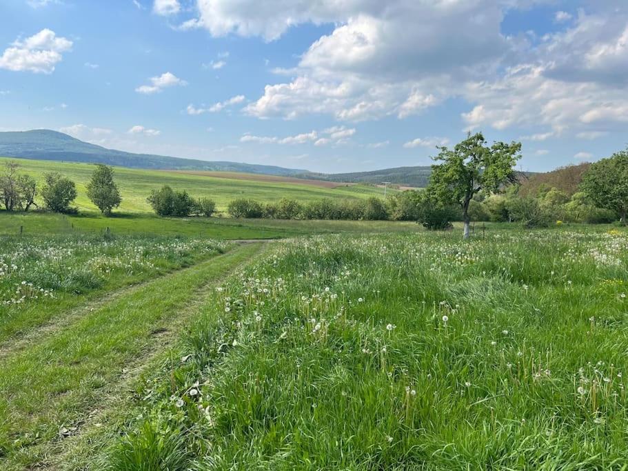4 Sterne FeWo Rhönland-Erlebnis in Bernshausen - auch für Wanderreiter