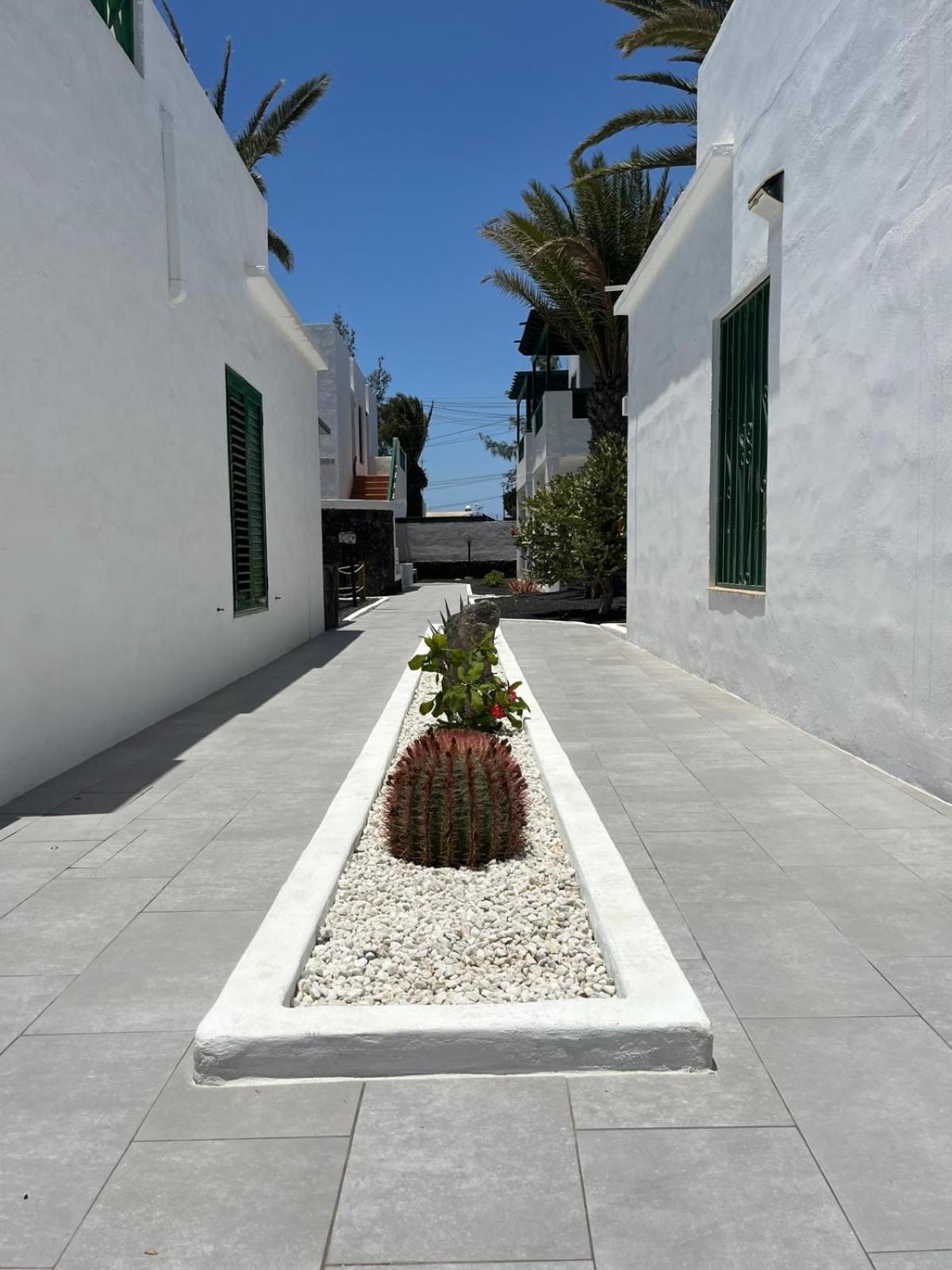 APARTAMENTO LANZA PALM