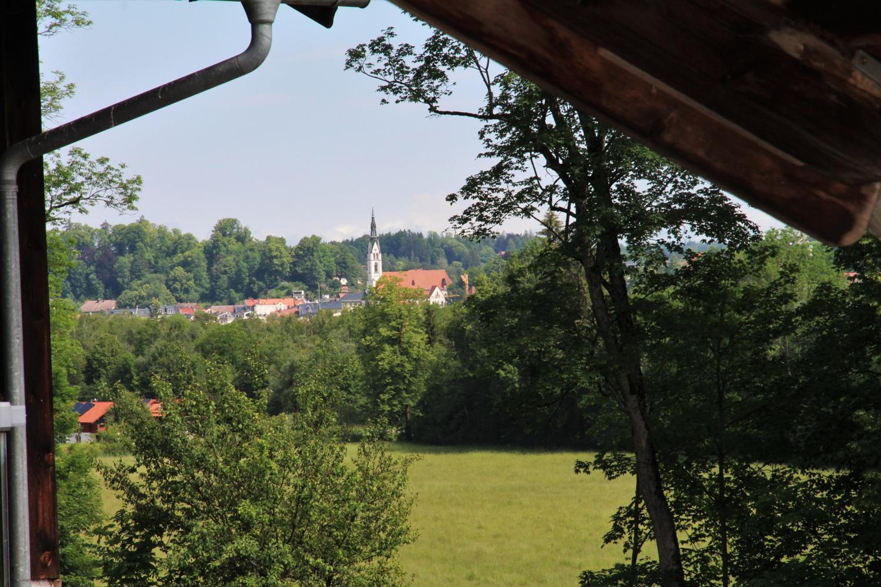 Bocksleitnerhof