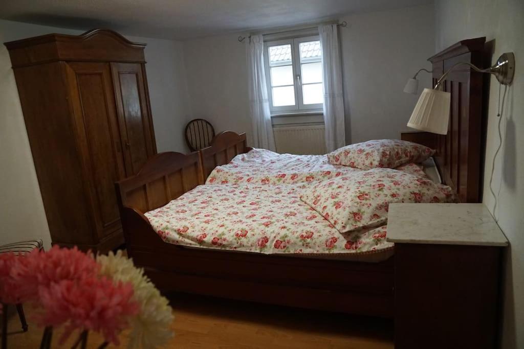 Ferienwohnung mit Schlossblick bei Offenburg