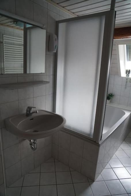 Ferienwohnung mit Schlossblick bei Offenburg