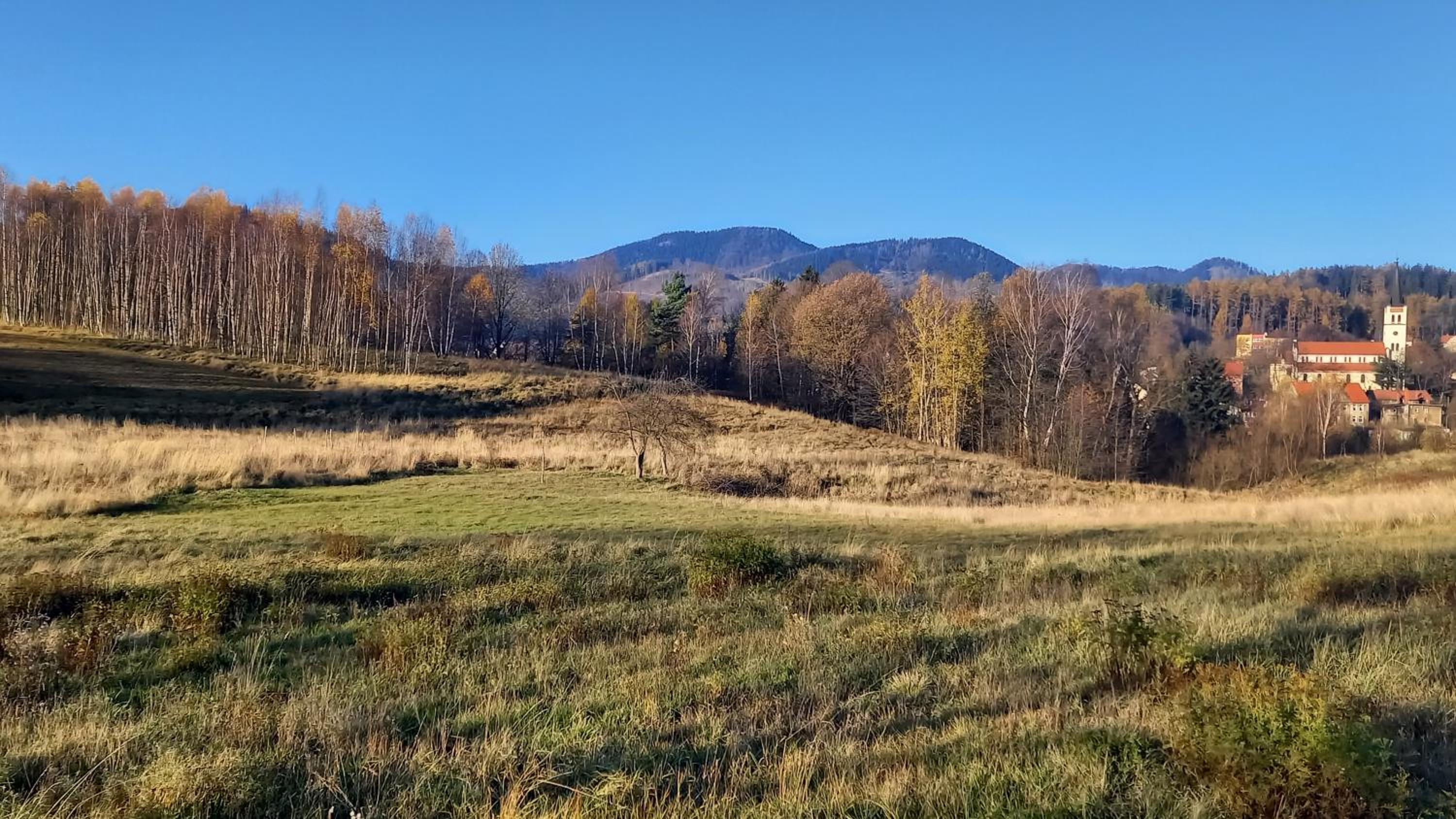 miniSowa, photo 27