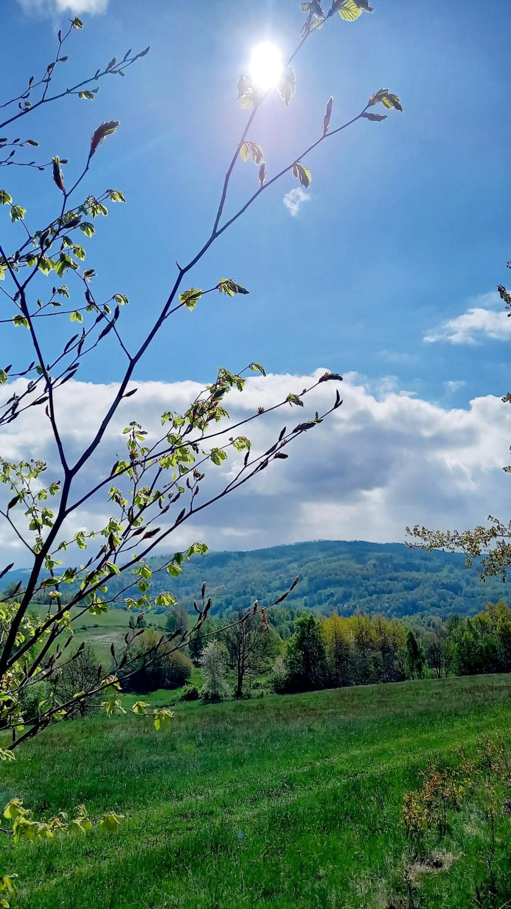 miniSowa, photo 47