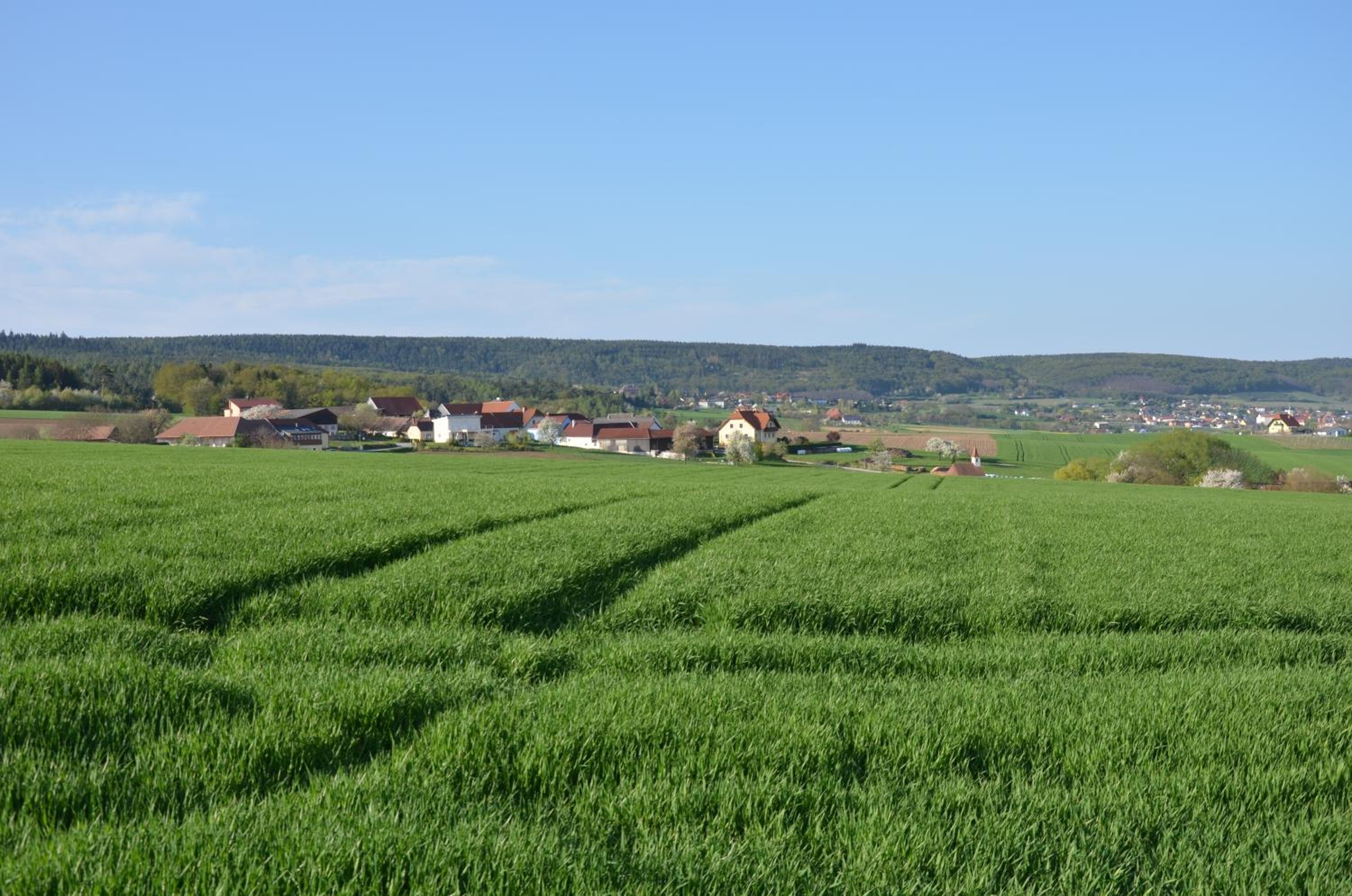 Vermieterei