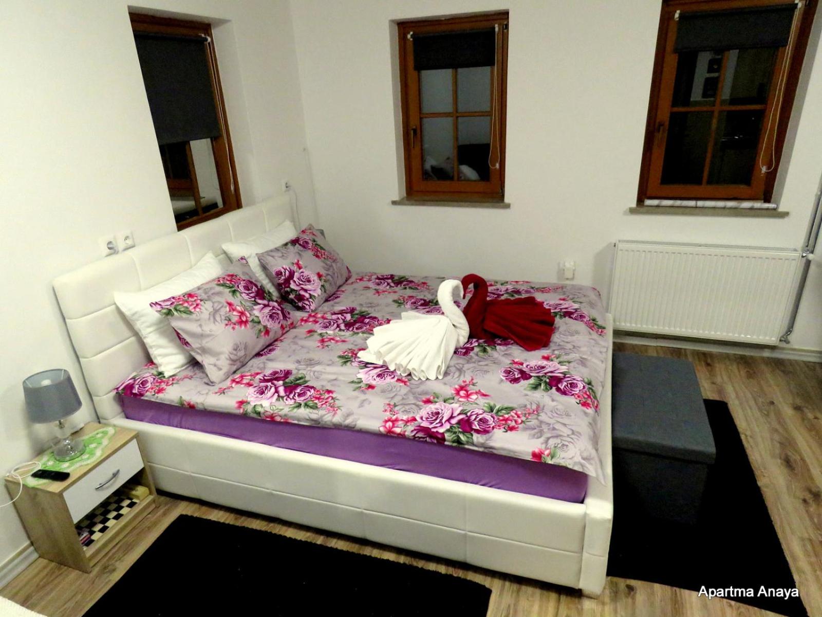 APARTMENt ANAYA view 4