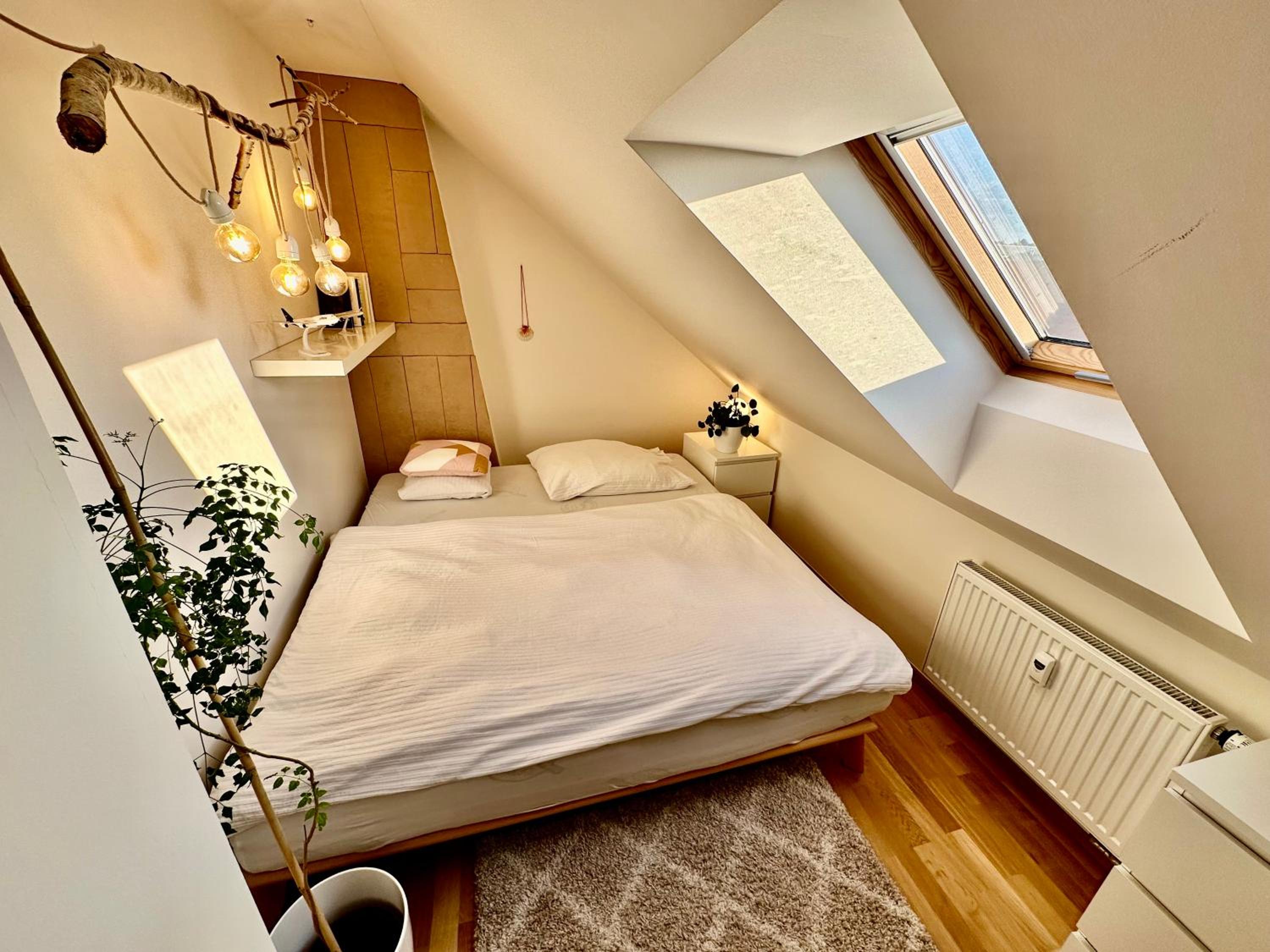 Rooftop appartment