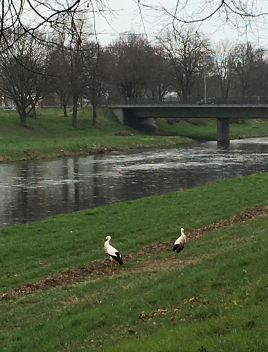 other