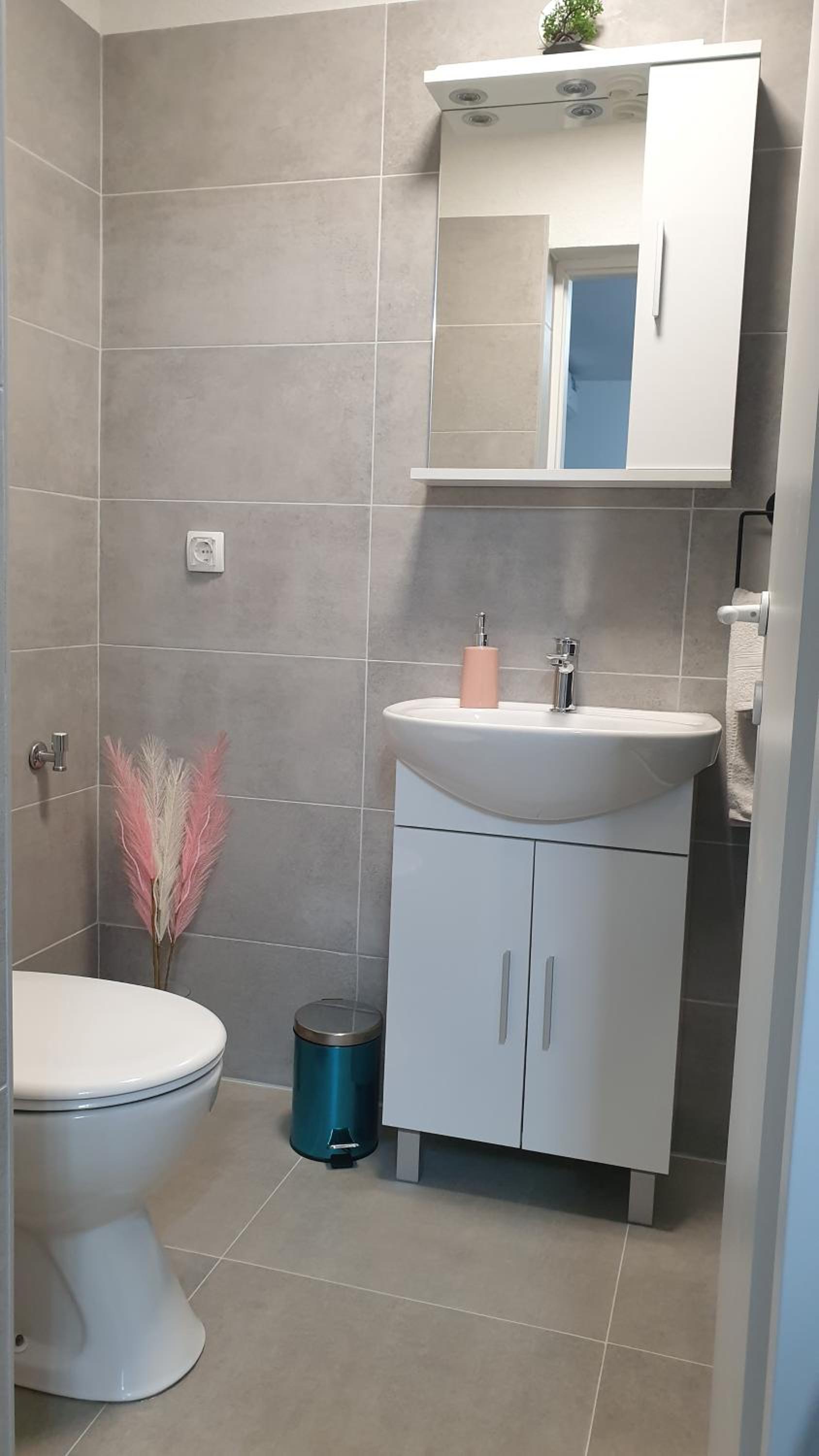 Apartman Basarac