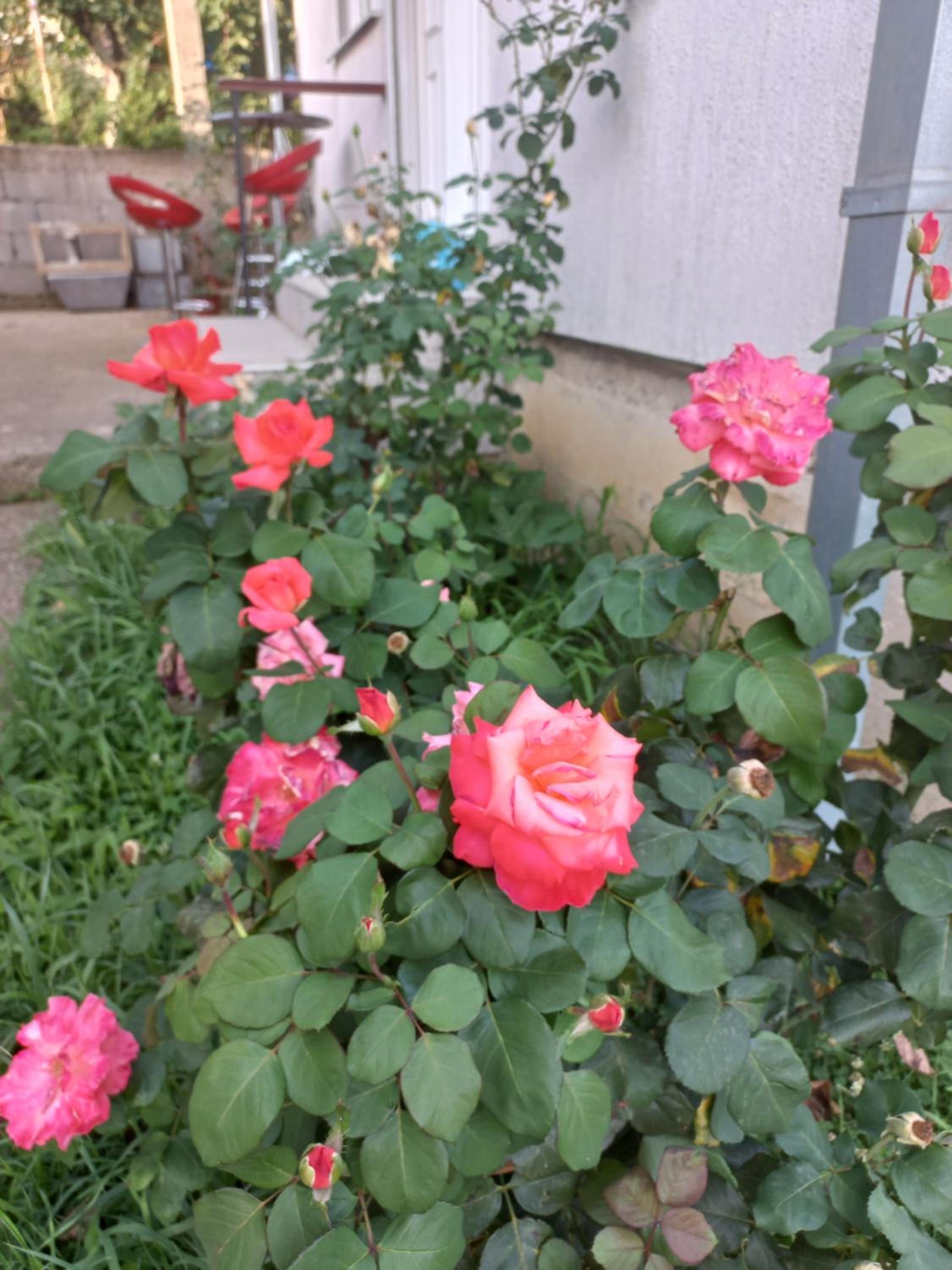 Photo 44