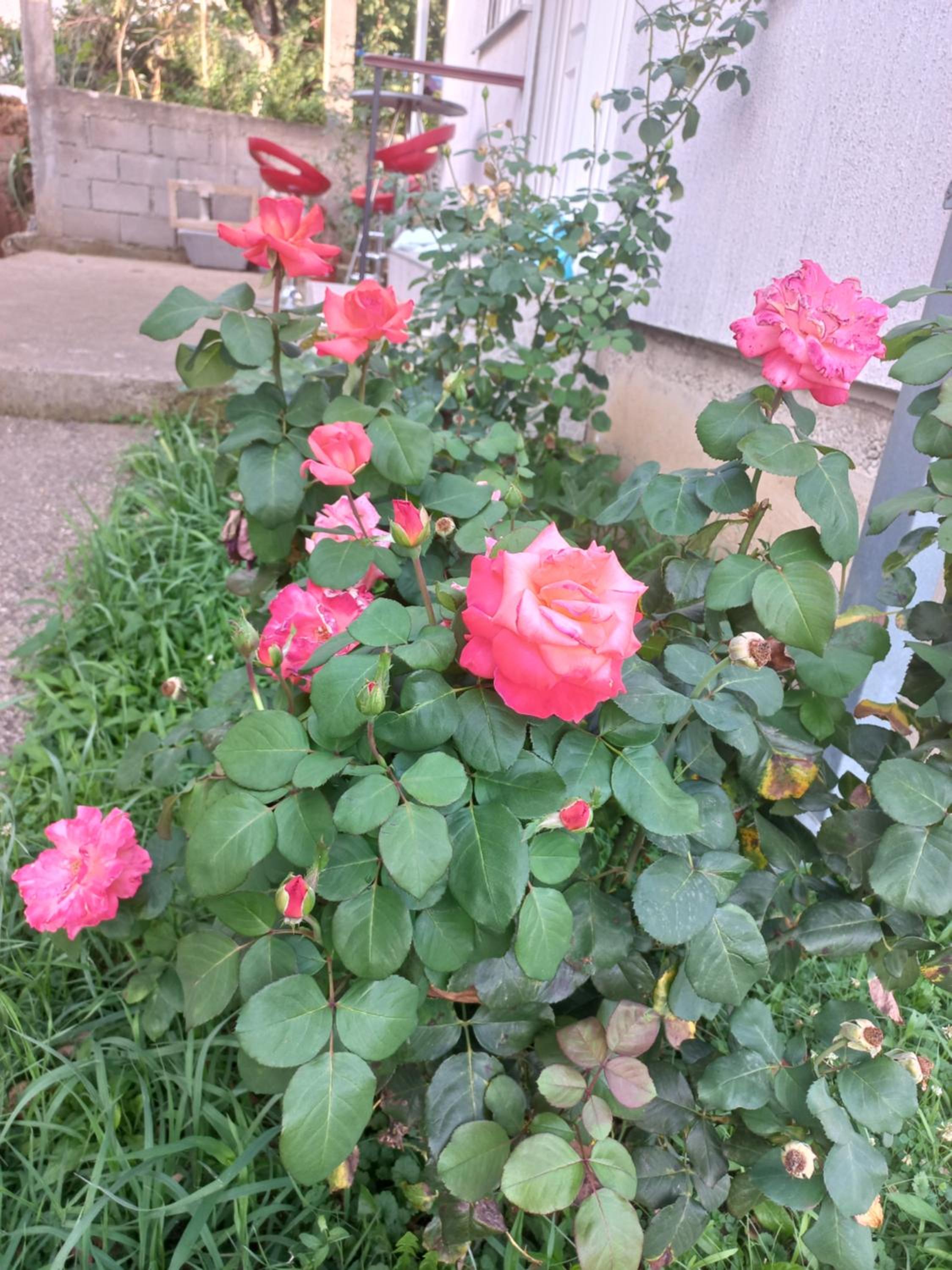 Photo 39