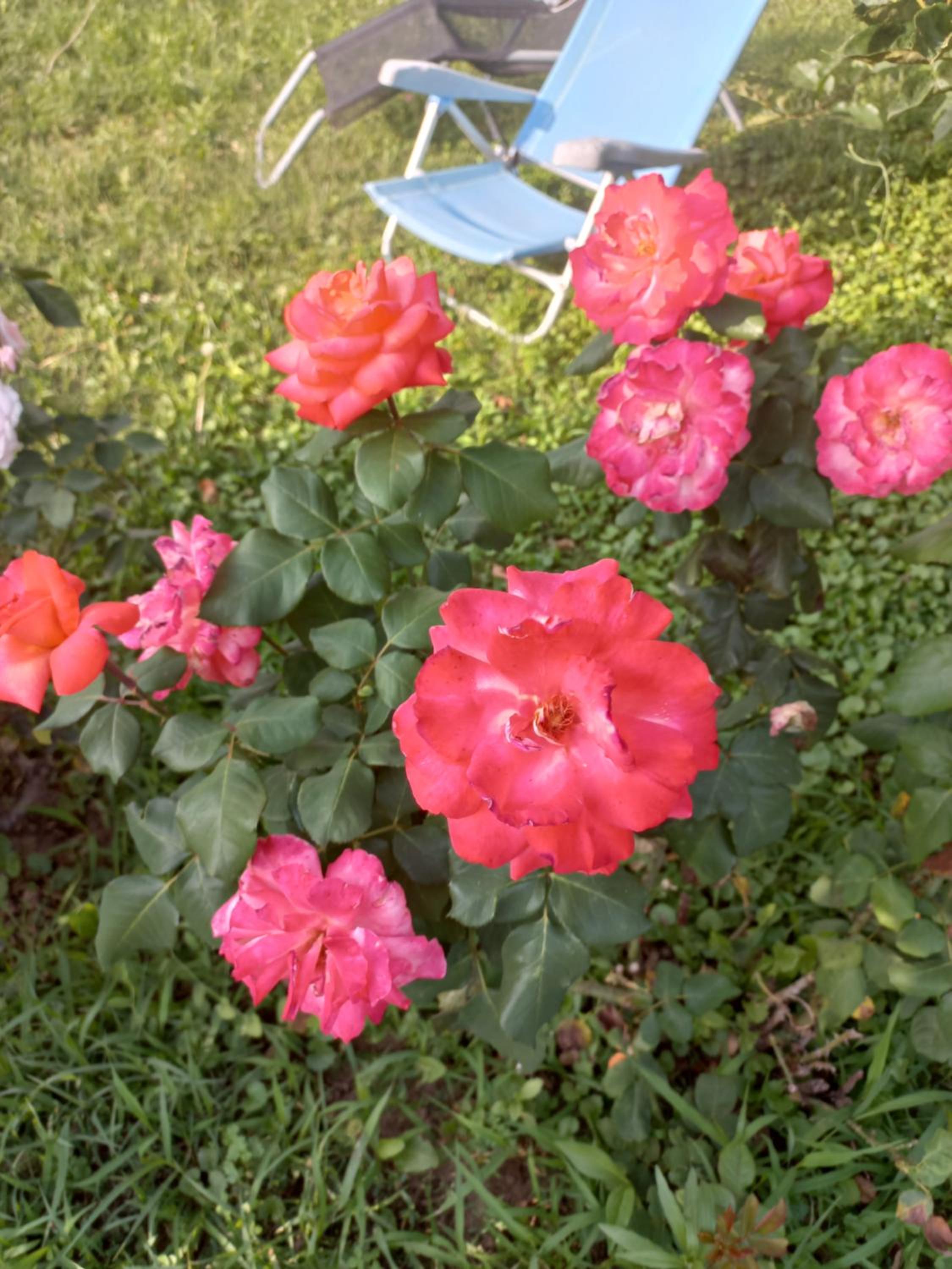 Photo 16