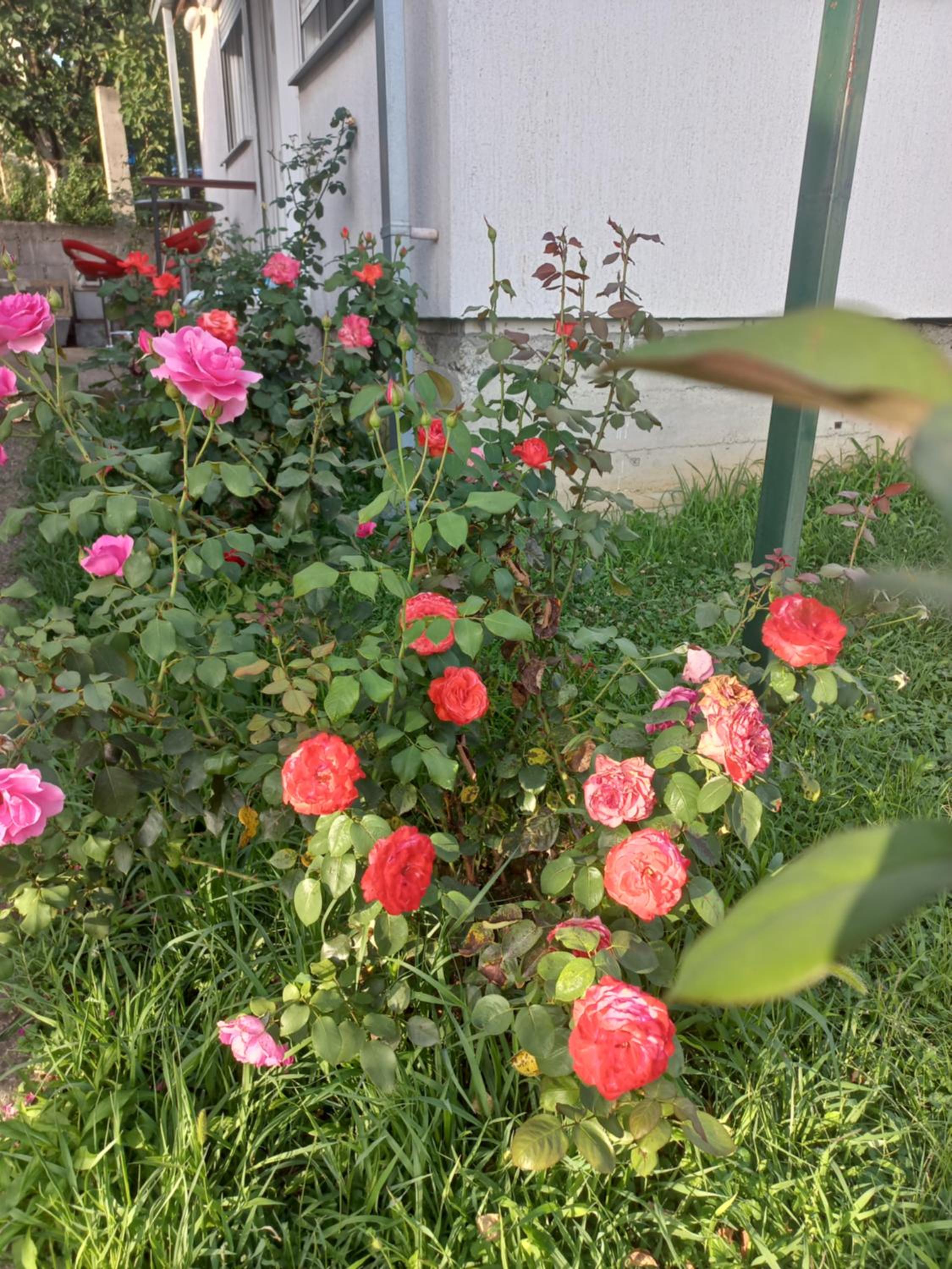Photo 36