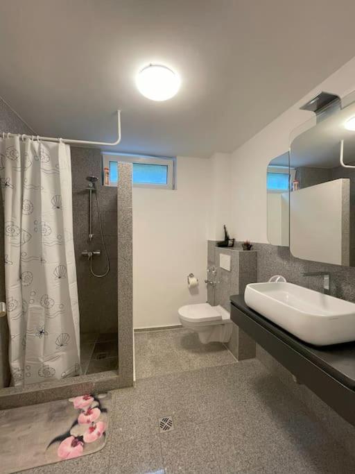Cozy Studio Apartment in Neusser Street
