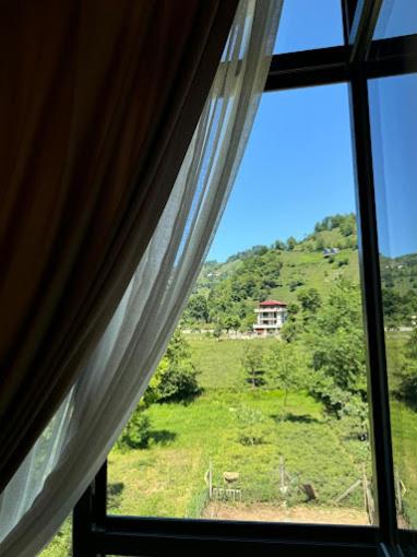 Hanging Garden Holiday Home - Riverside