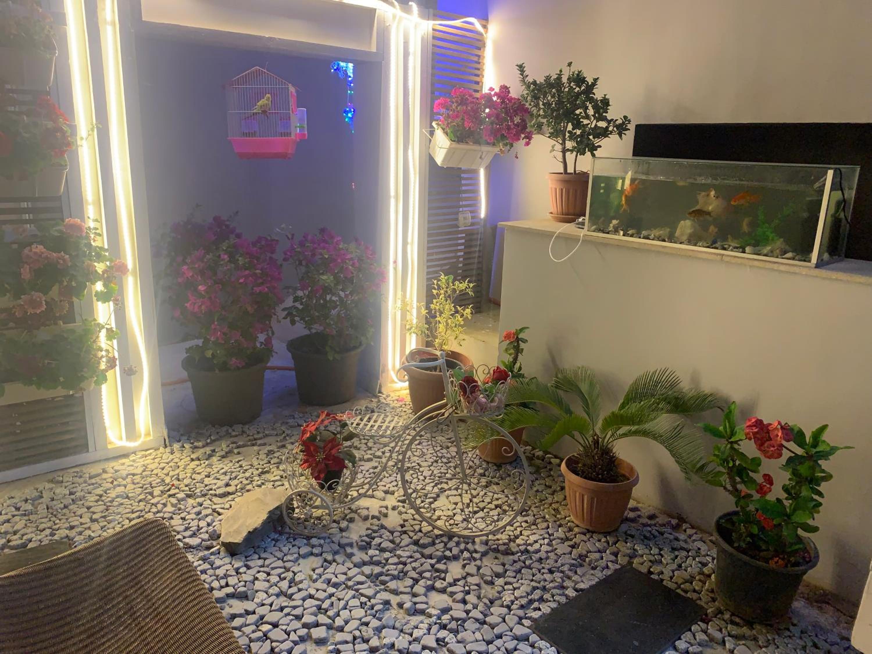 The Icon Boutique villa 1