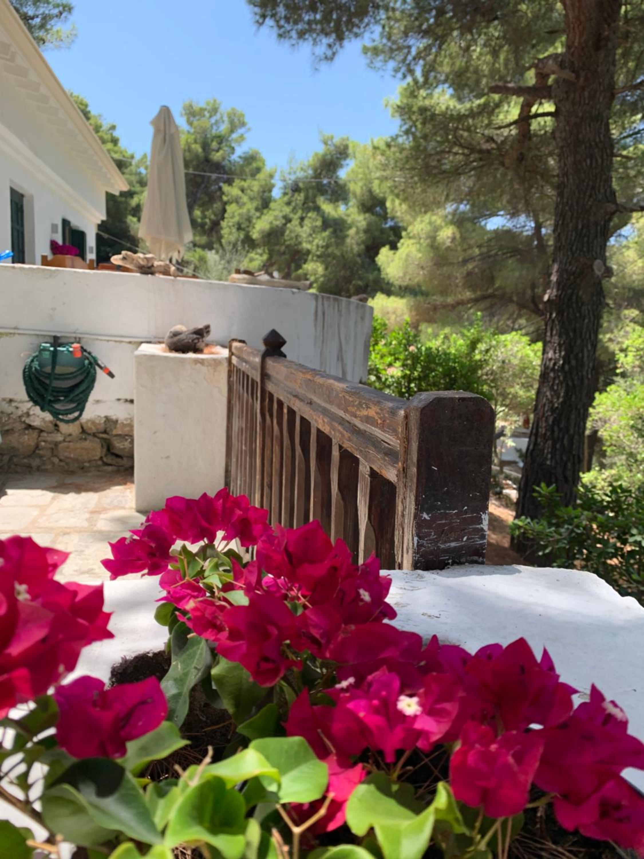Villa Rhodos Skiathos