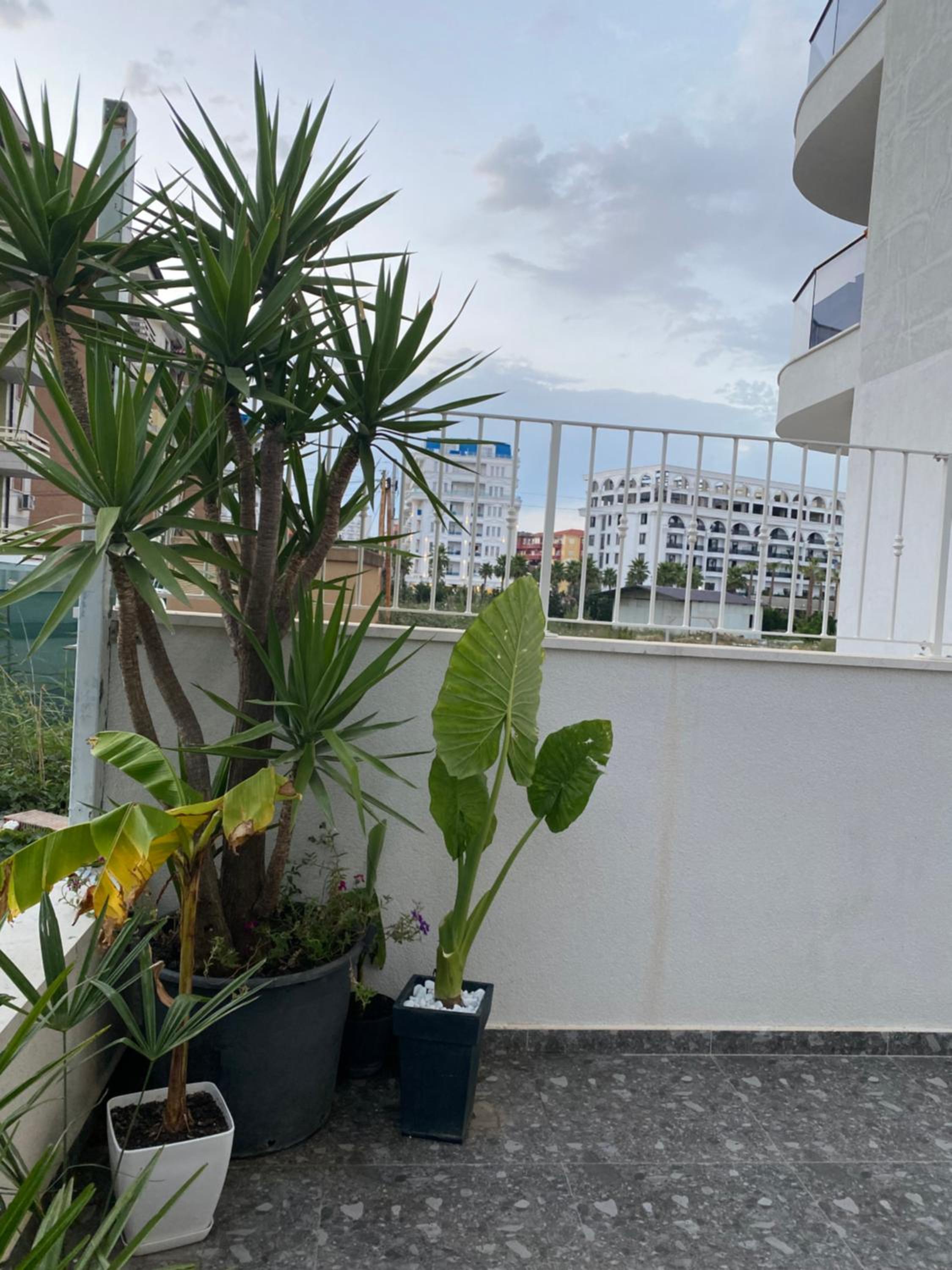 Premium Apartament , Golem