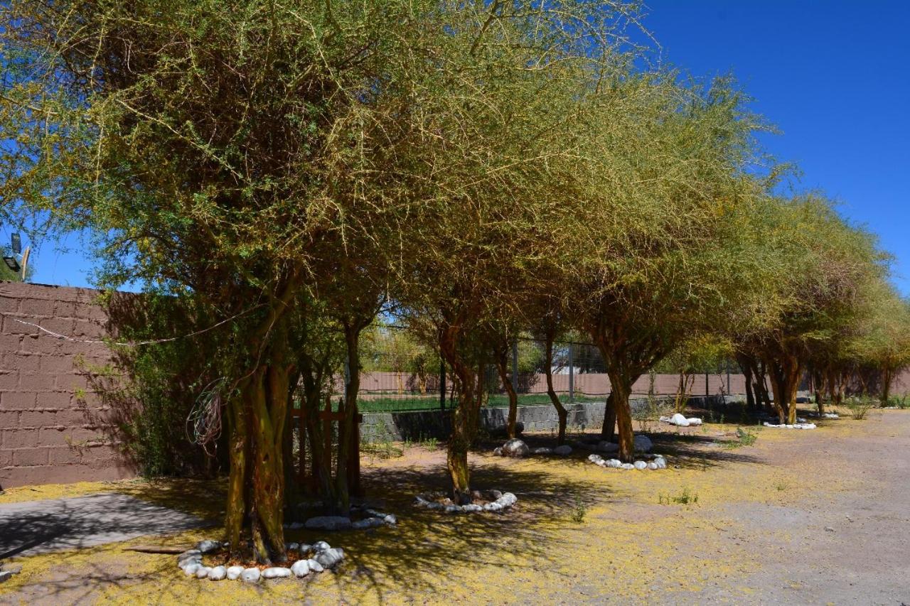 Rancho checkar