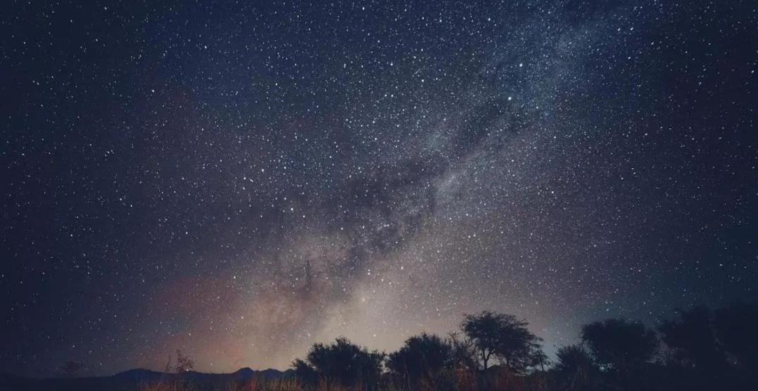 Rancho checkar