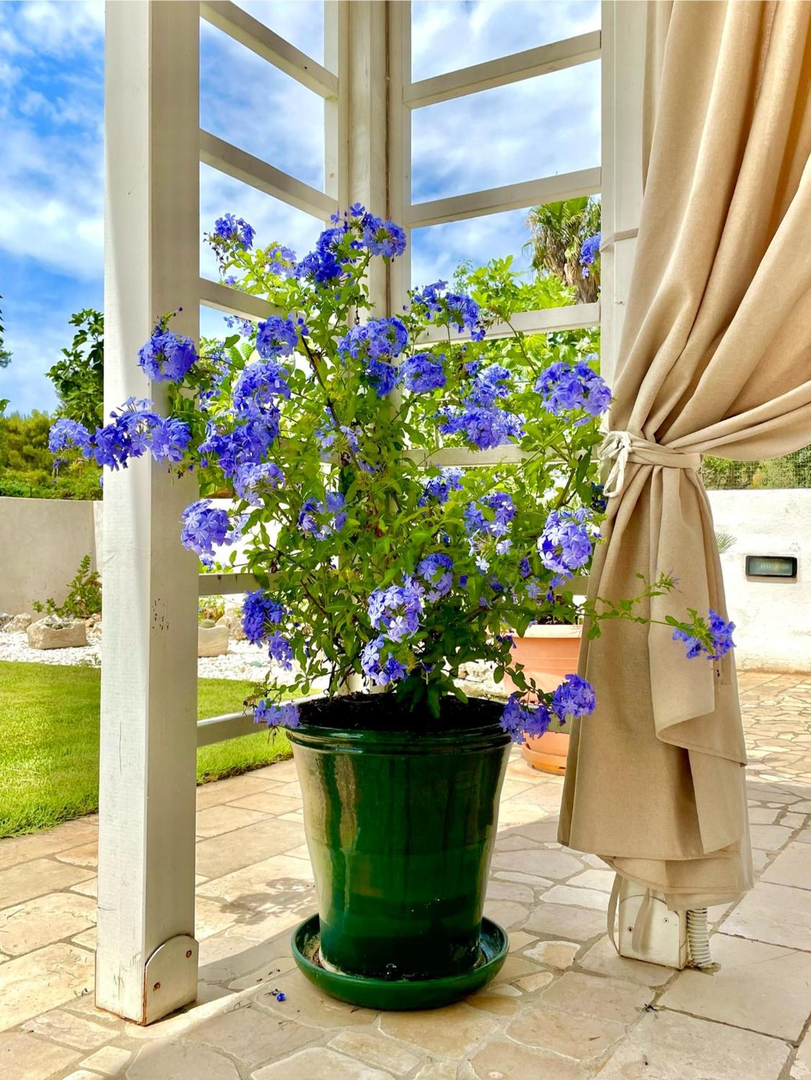 B&B Nonna Maria view 4