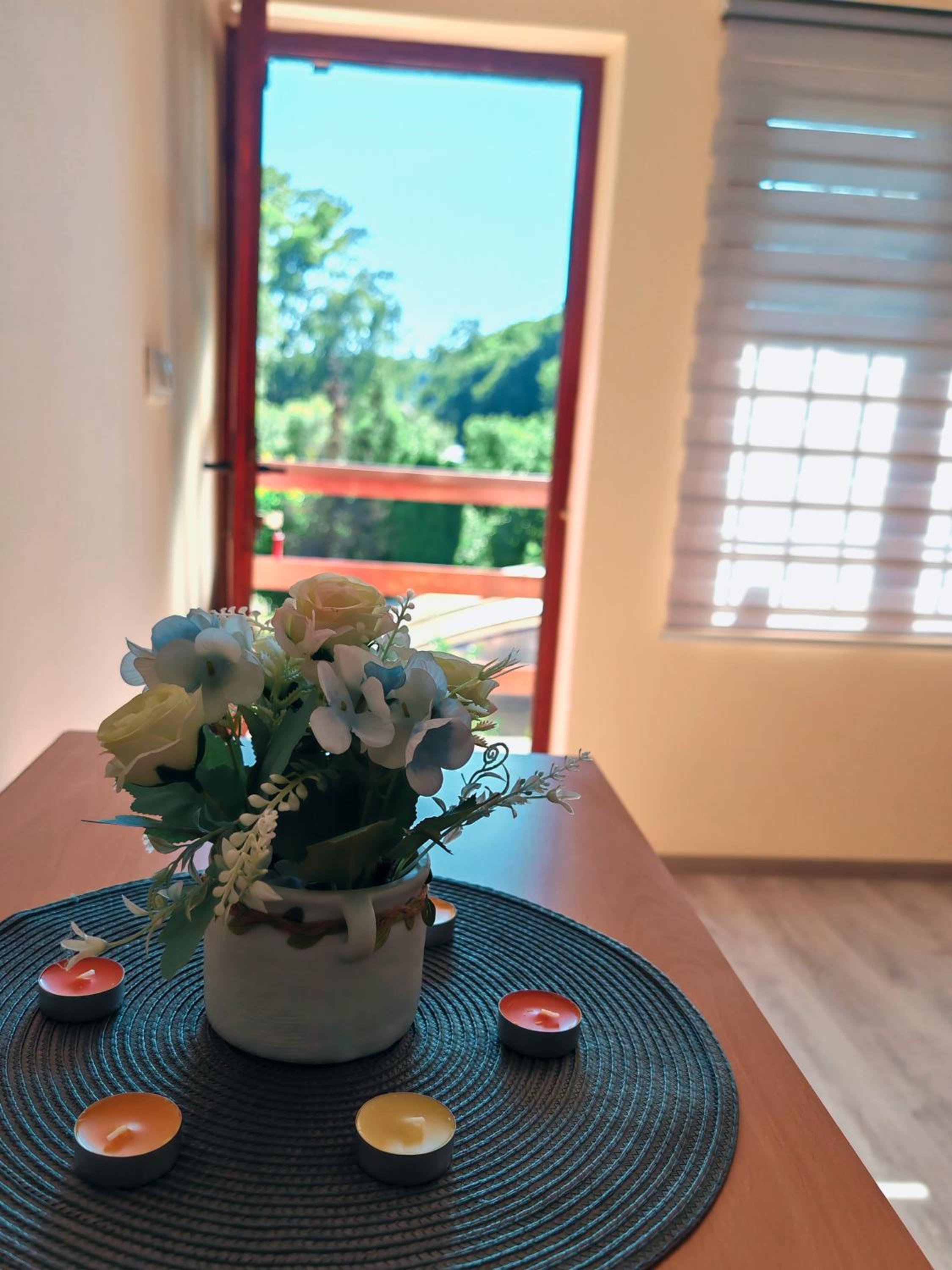 Apartman Popović