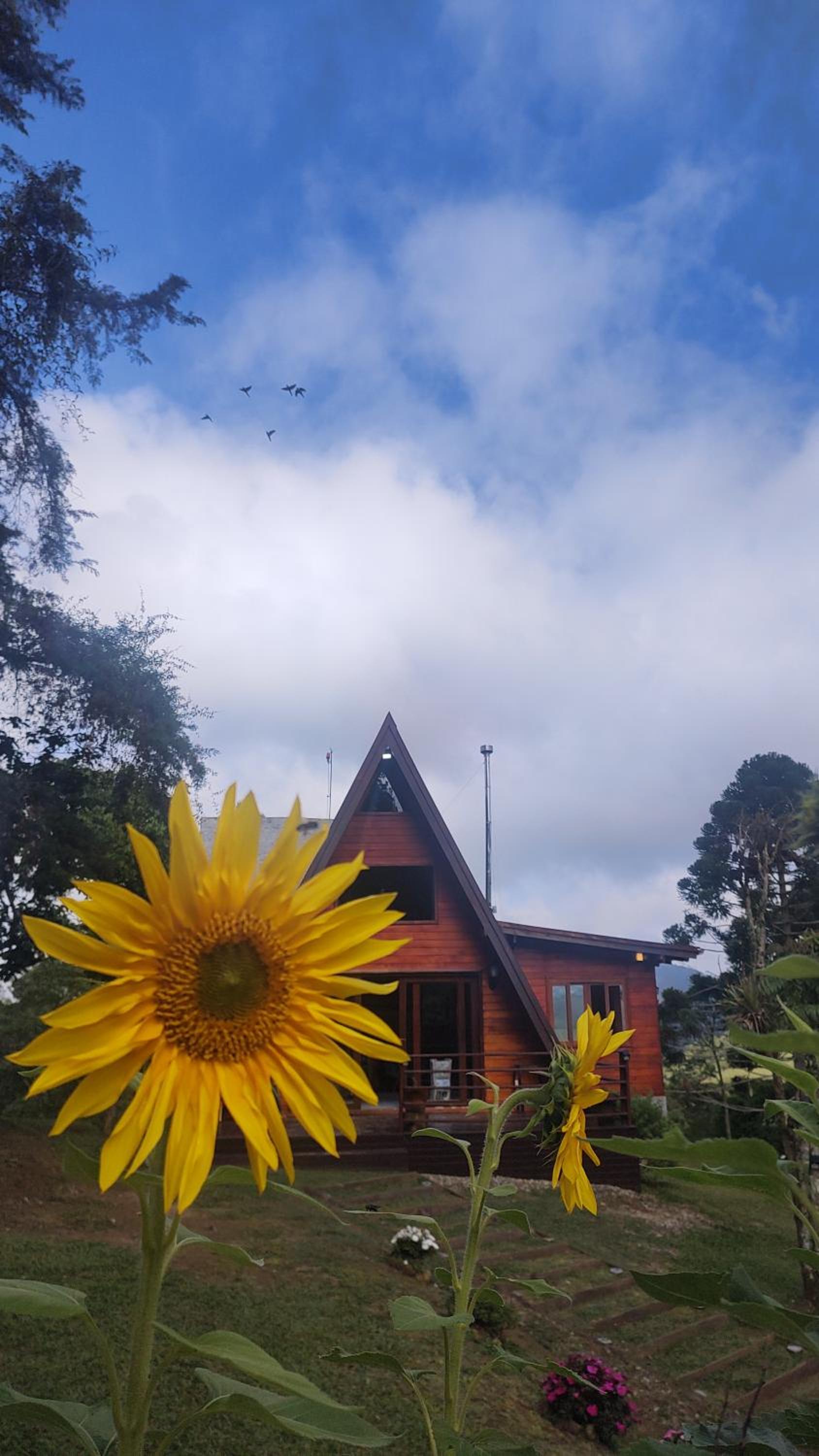 Chalé da Colina