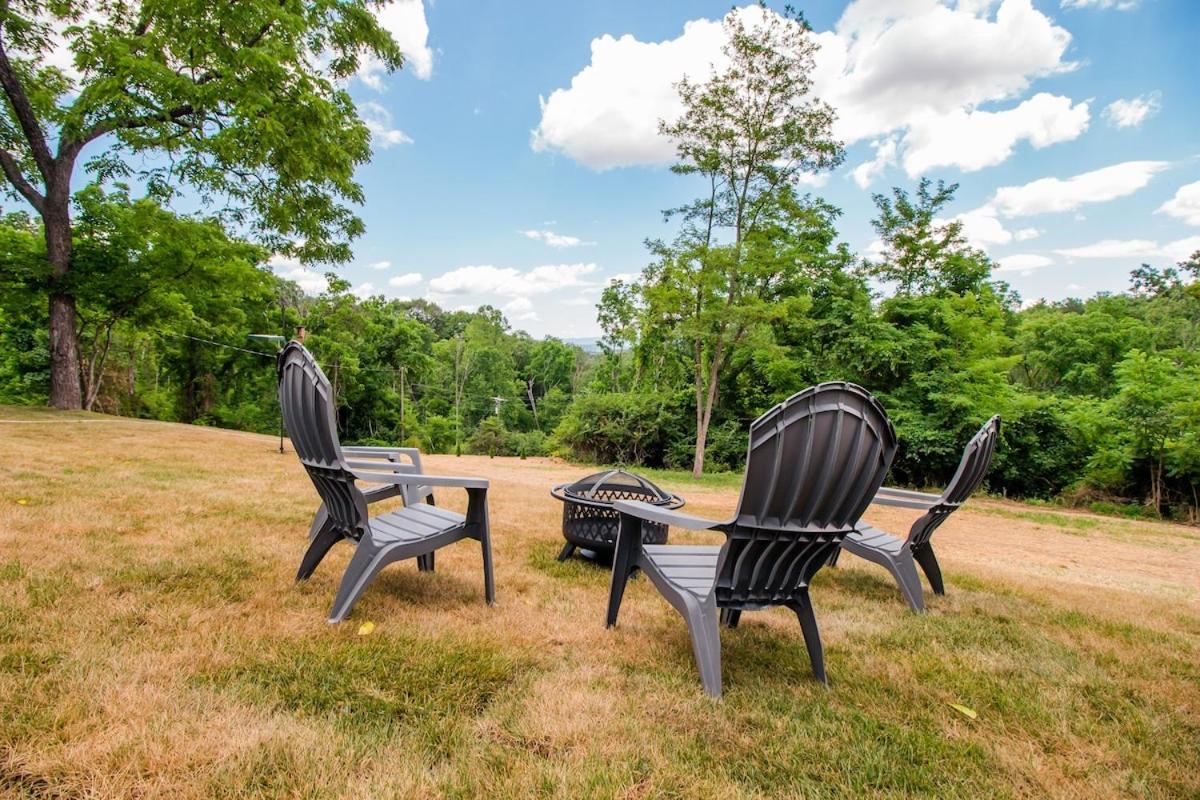 Black Bear Vista-3BR Fast Wi-Fi view 3
