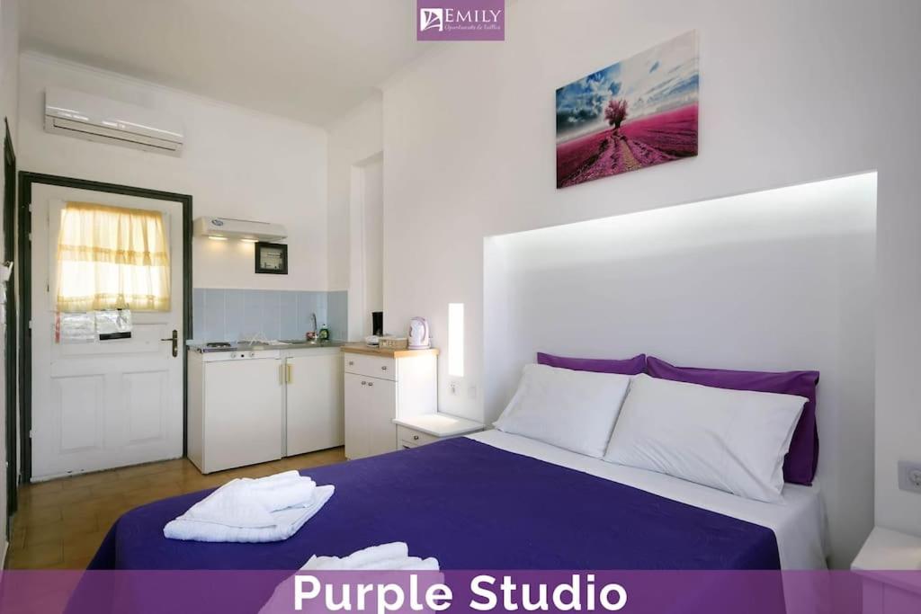 Studios in Dassia - Emily Apartments view 2