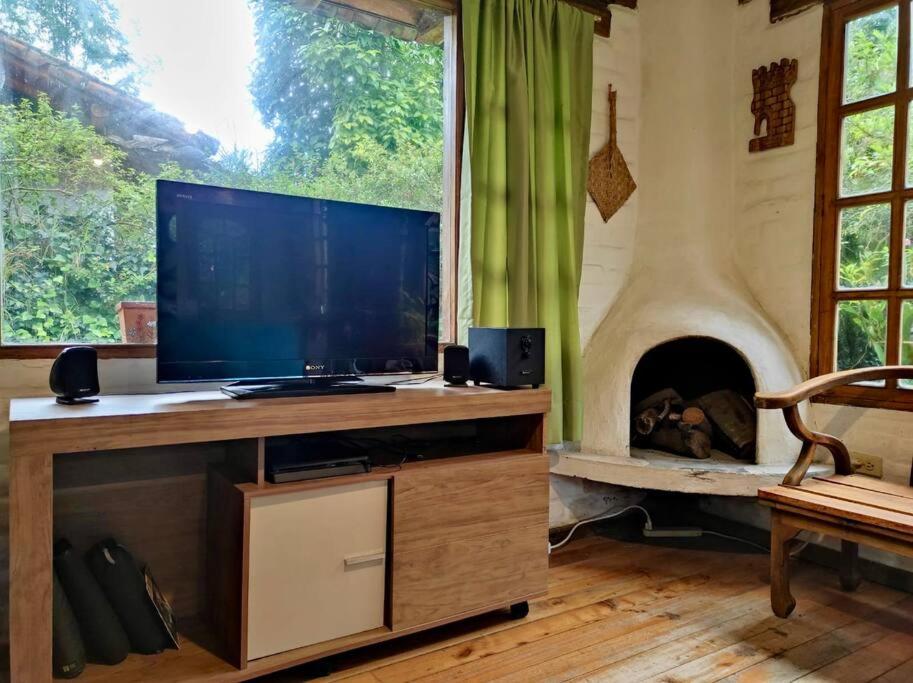 Photo 15